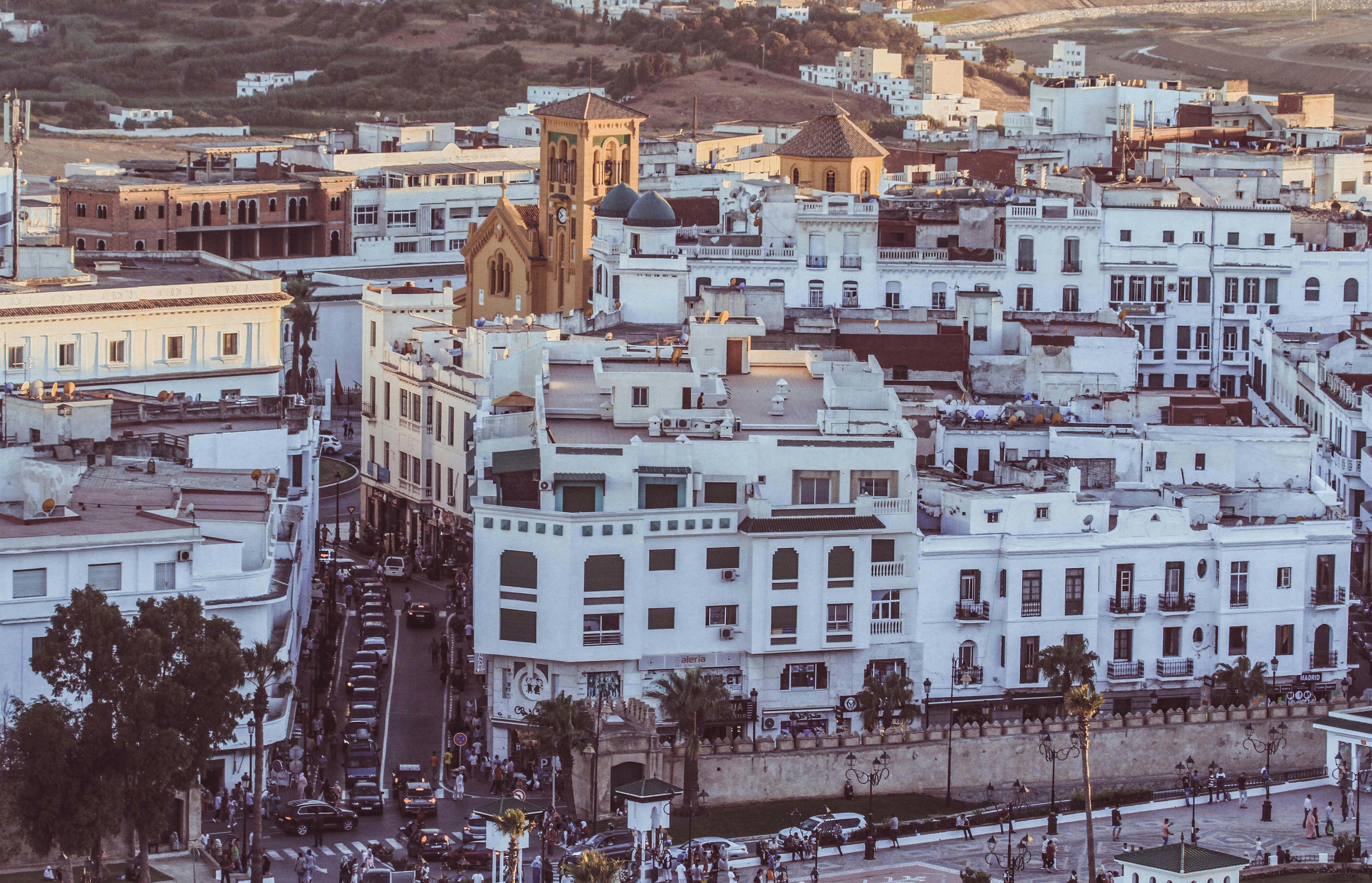 La Guía Definitiva para Encontrar Servicios de Inteligencia de Negocios en Cádiz