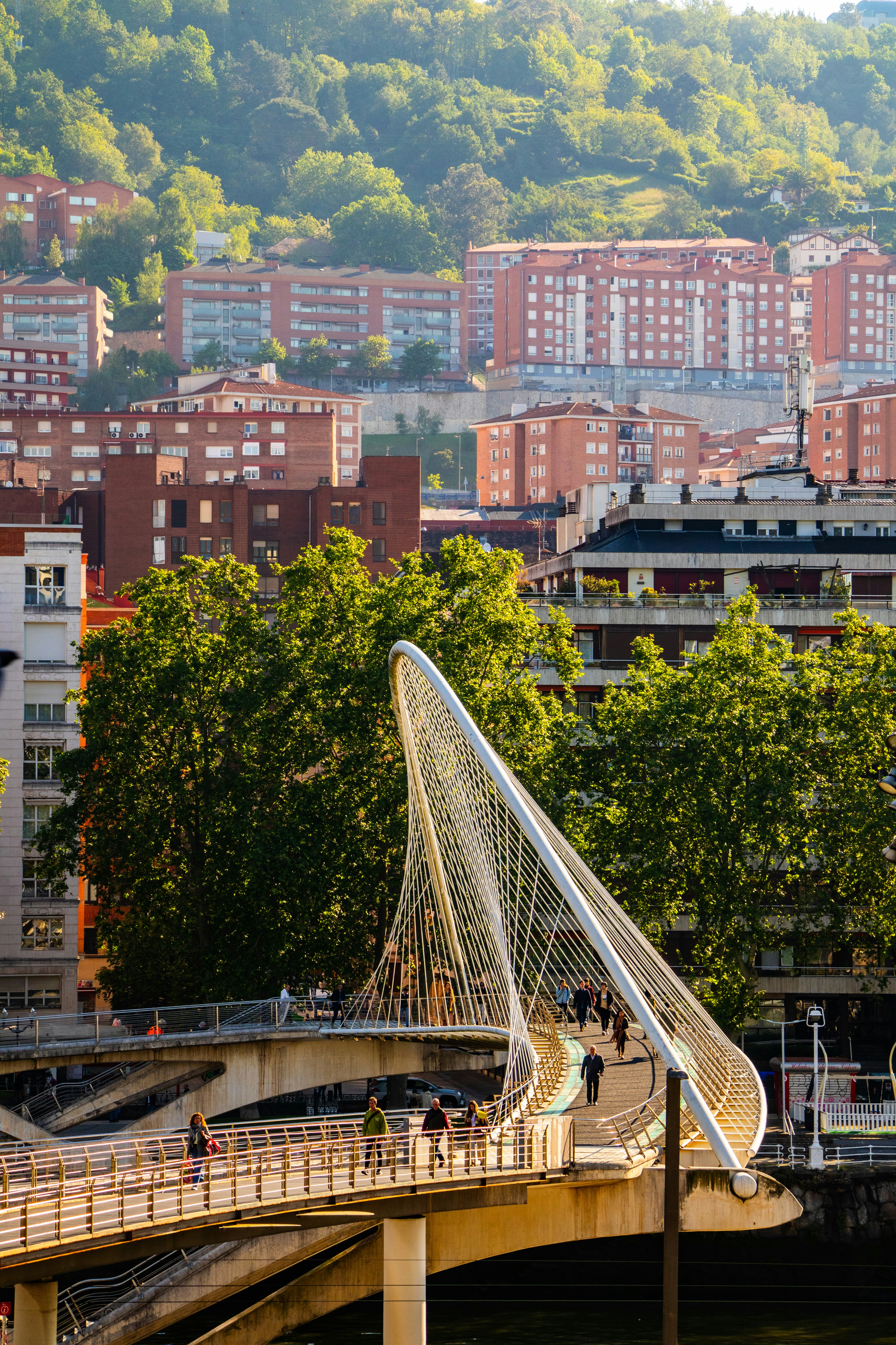 La guía definitiva para encontrar servicios n8n en Bilbao