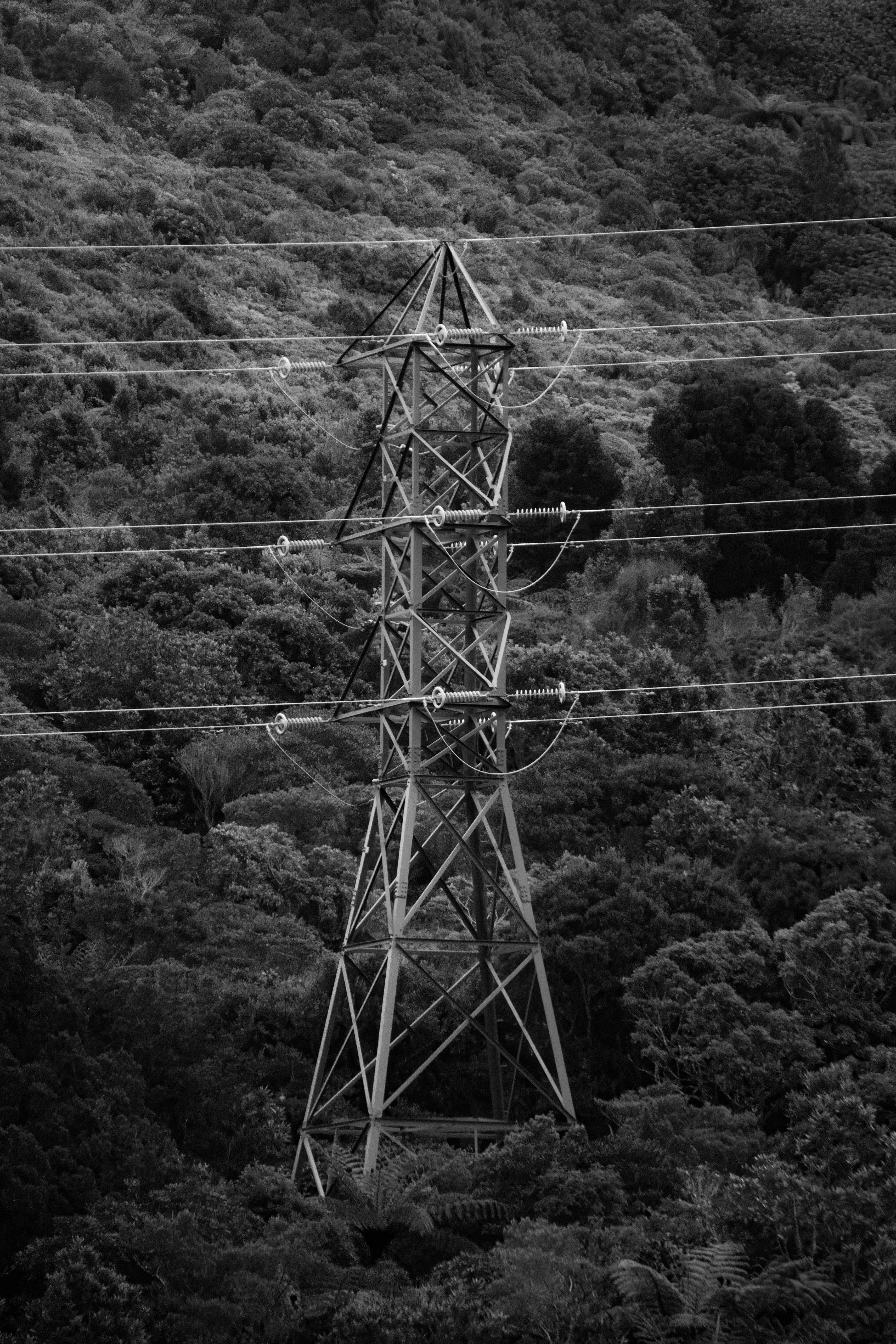 Modelado Generativo de Energía: Una Perspectiva de Emparejamiento de Energía basada en Lyapunov