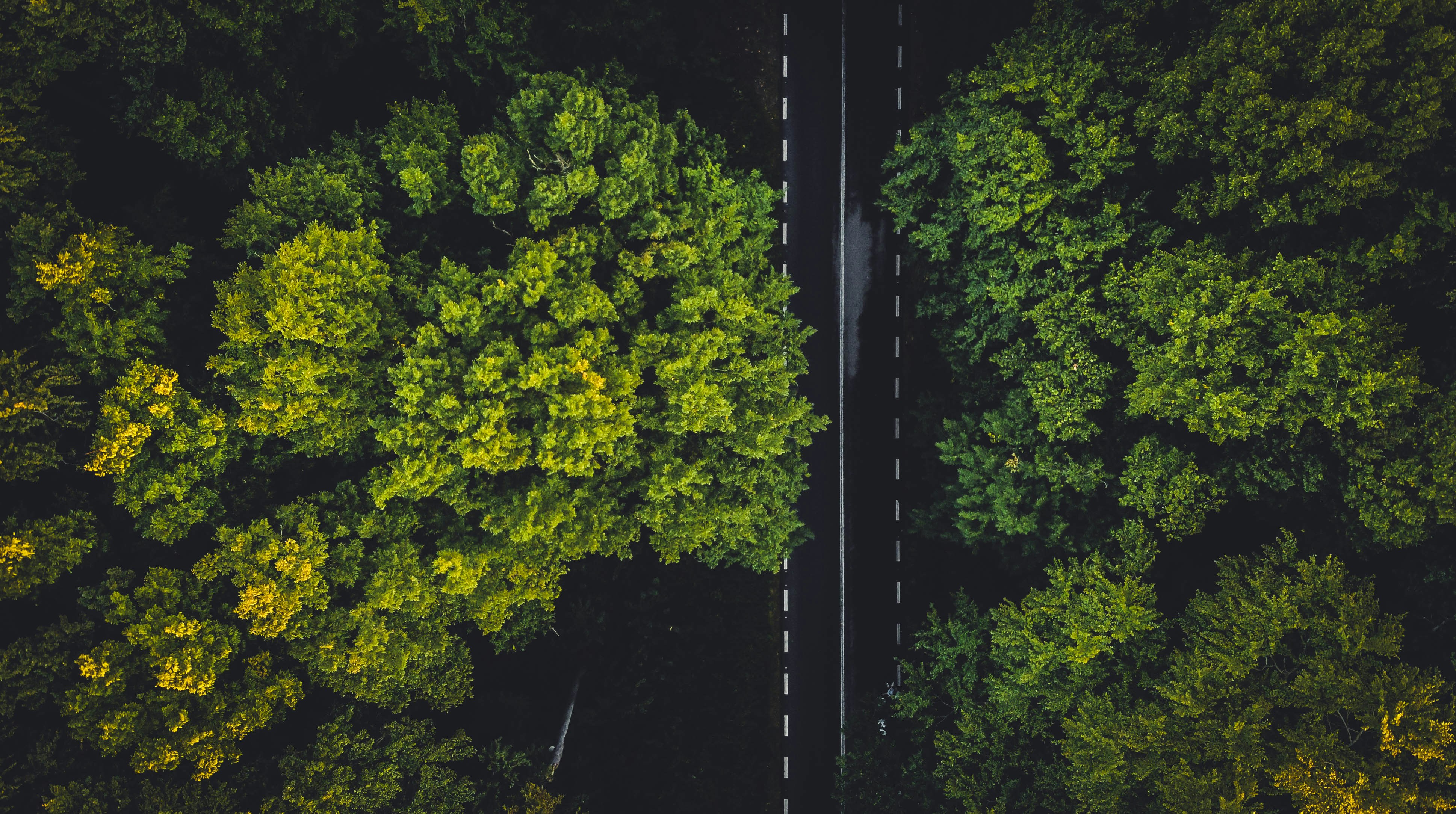 ¿Cómo apoya el enrutamiento inteligente a los objetivos ambientales?