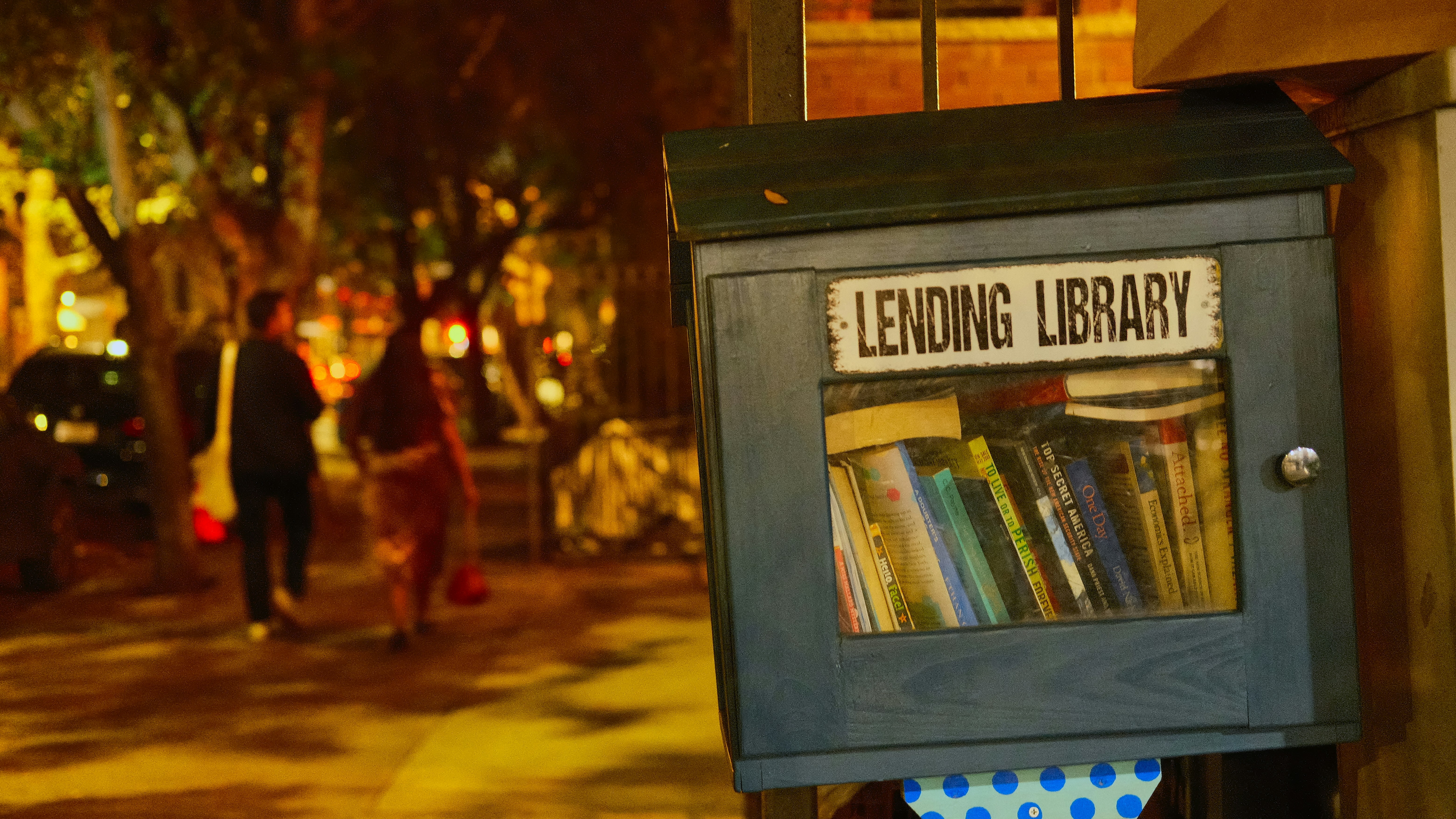 Ver no es dominar: Enseñar a LLMs a usar bibliotecas privadas para generación de código