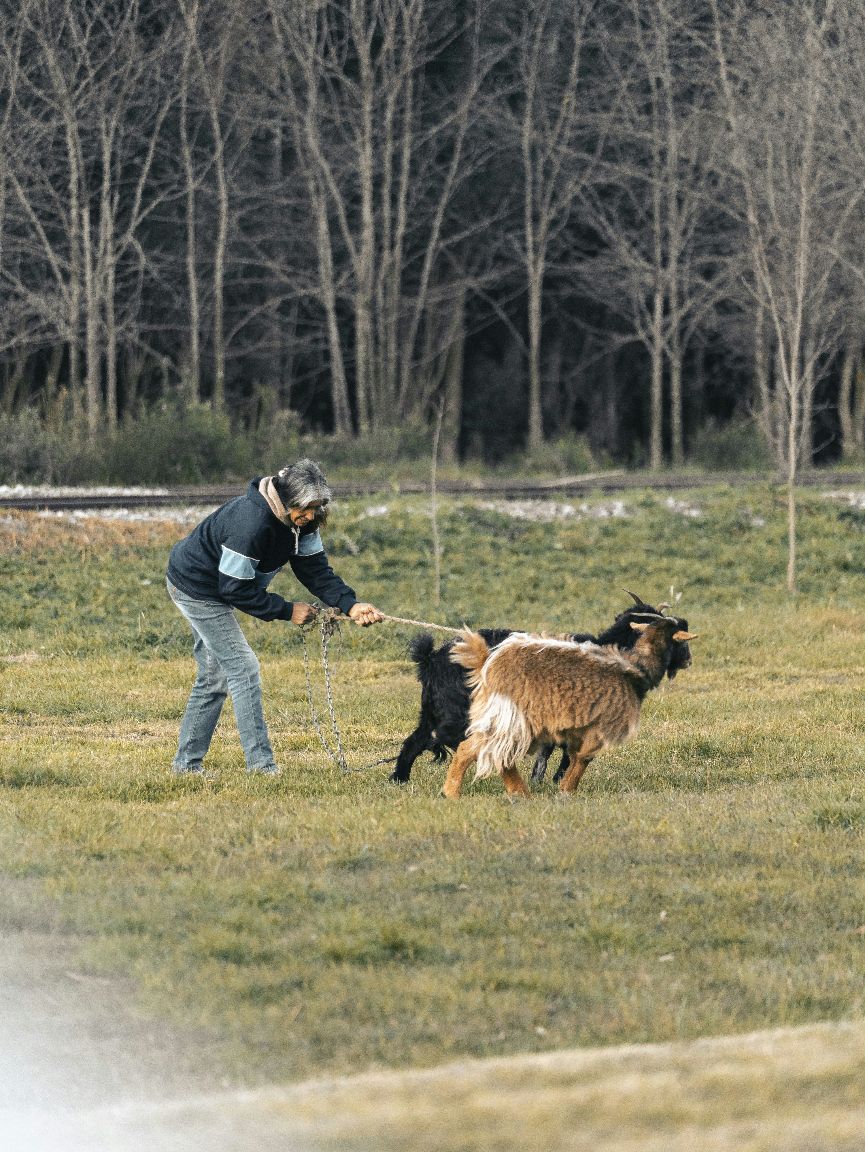 GOAT: Marco de entrenamiento para agente orientado a objetivos con herramientas