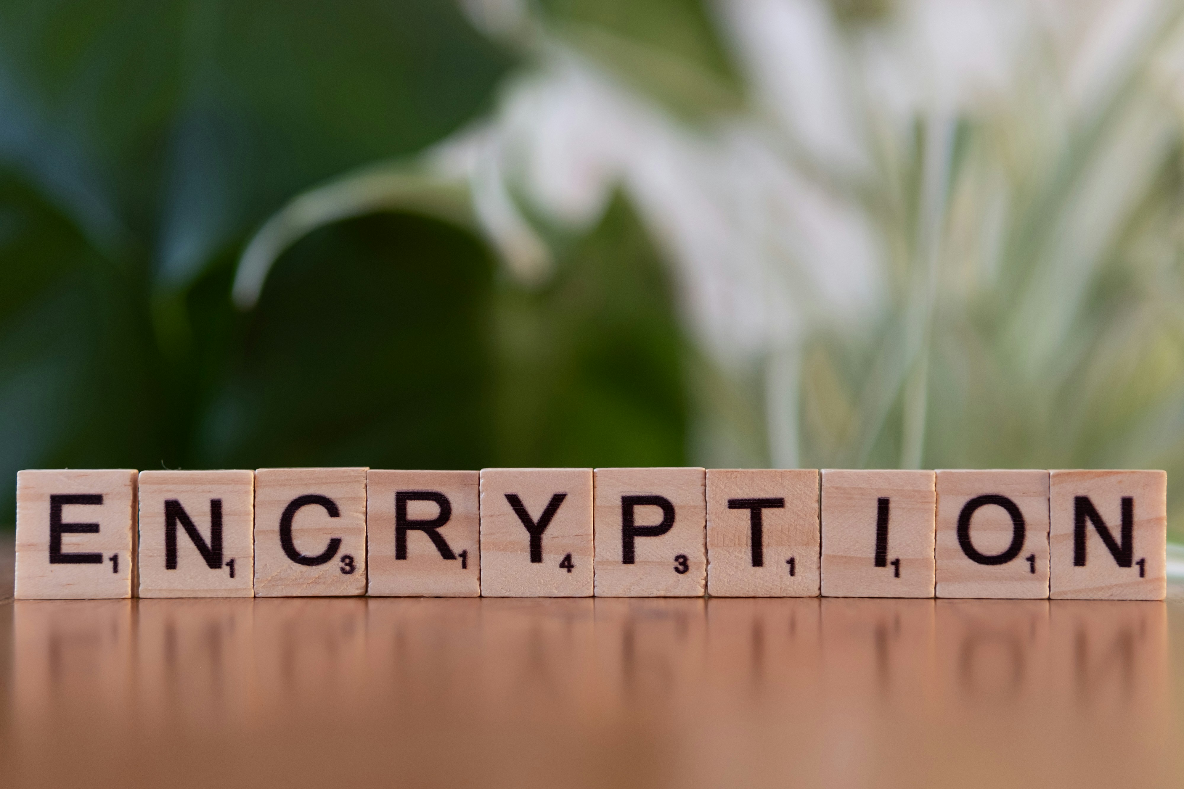 Enseña a enviar un mensaje con una transacción en crypto