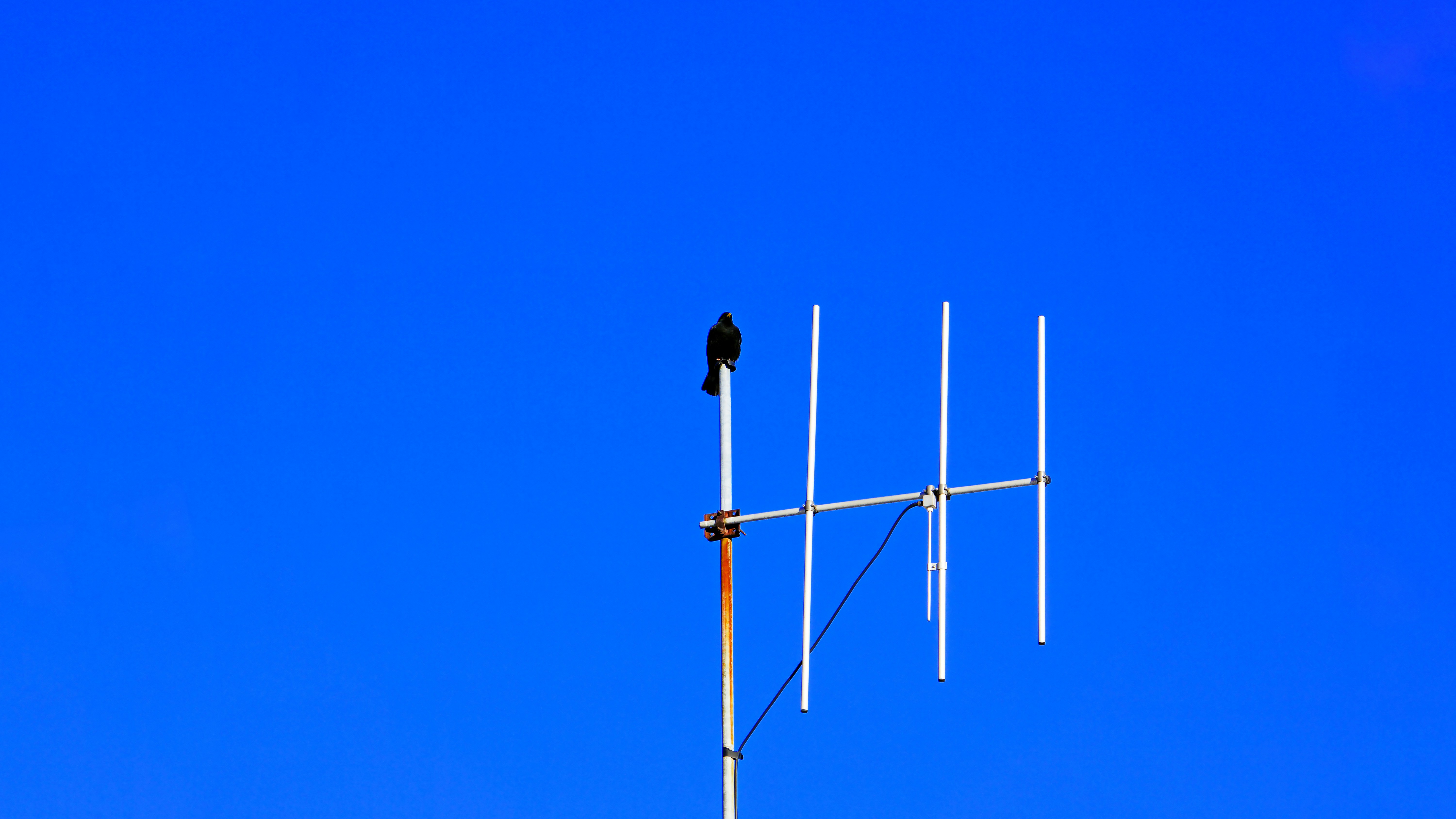 Aprendizaje federado liberado: equilibrando sesgo y varianza en la IA inalámbrica por Arvind Sundararajan