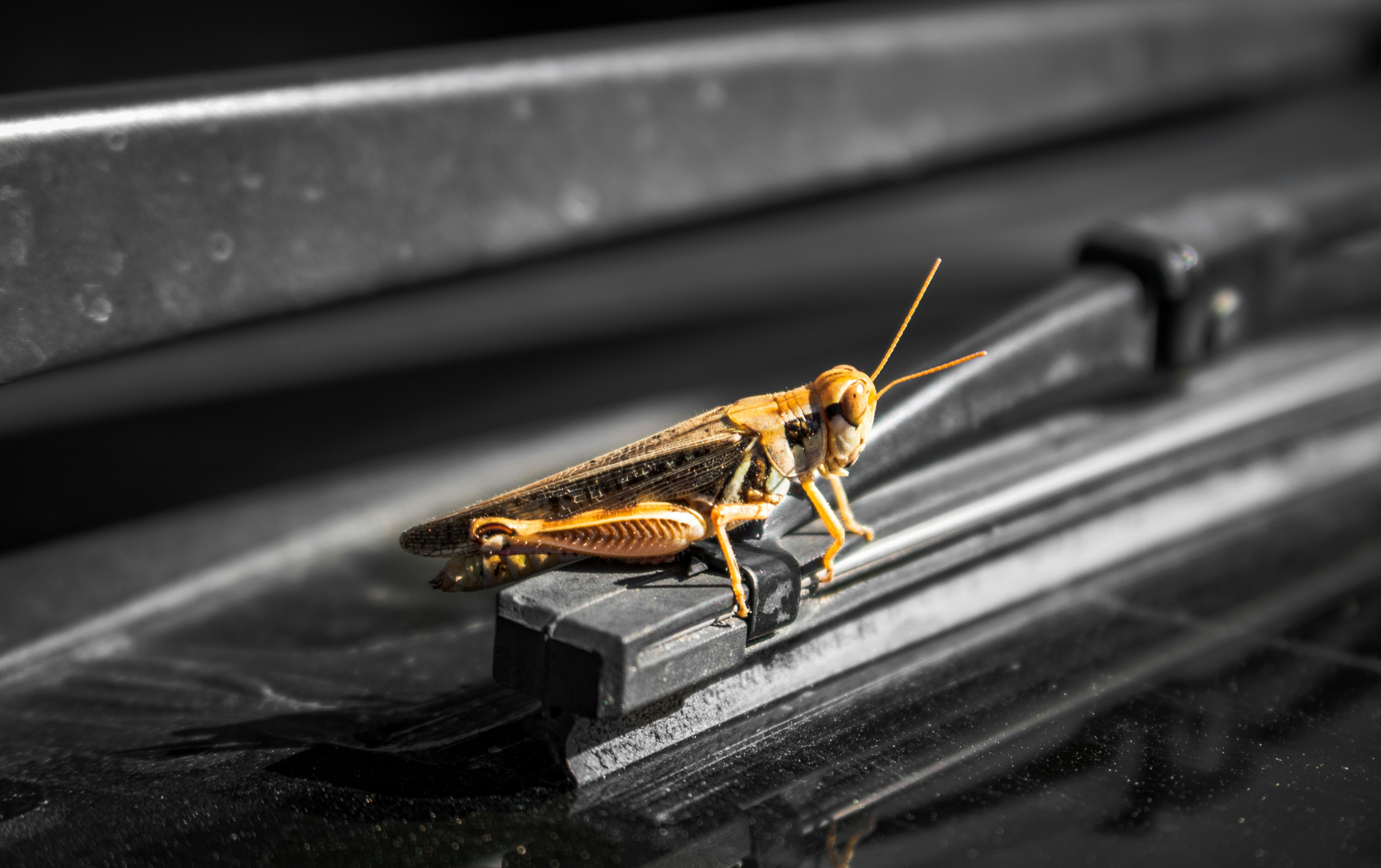 Cómo un error de invalidación de caché casi derriba nuestro sistema - Y qué cambiamos después