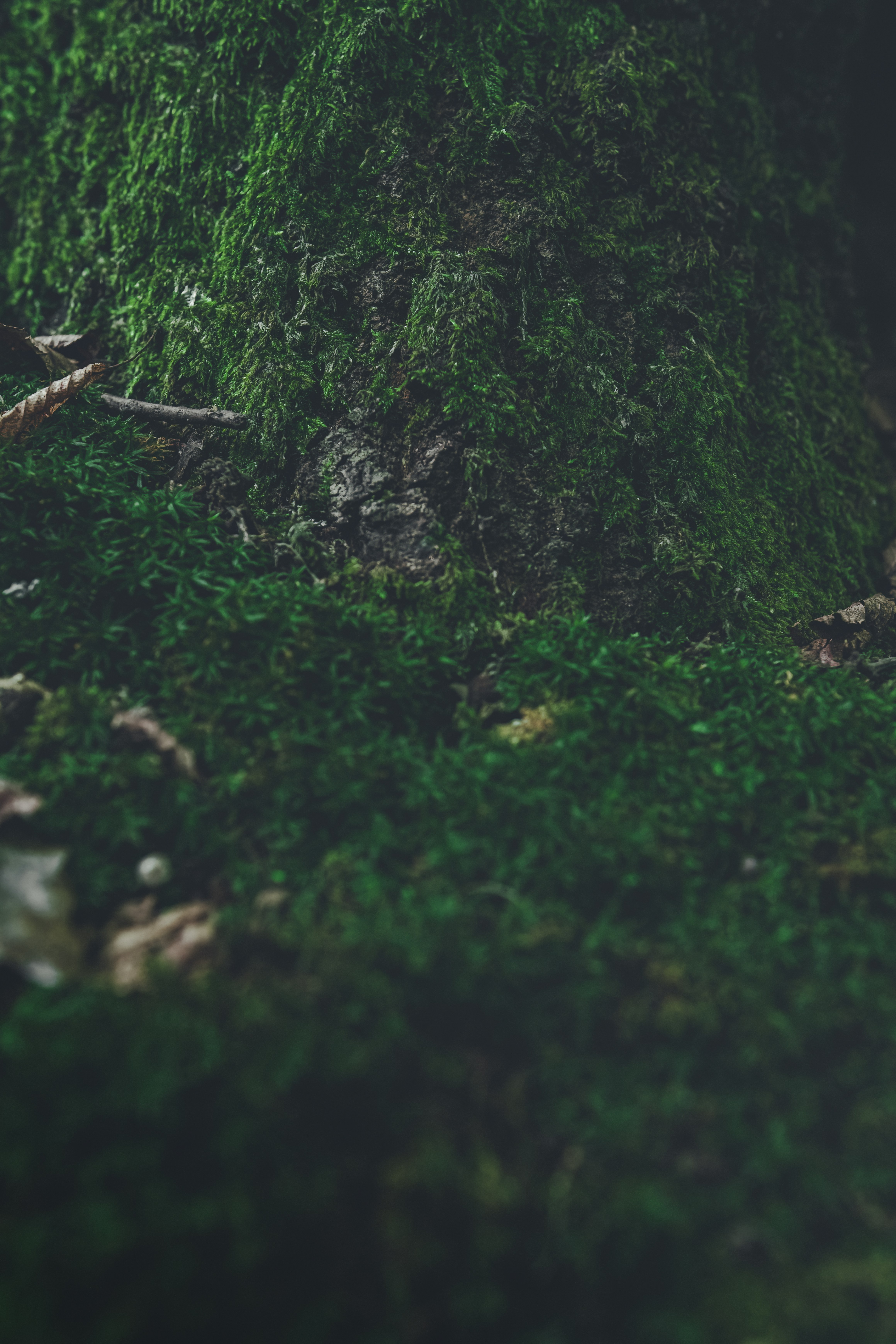 Cómo escribir indicaciones que sobrevivan a casos límite del mundo real