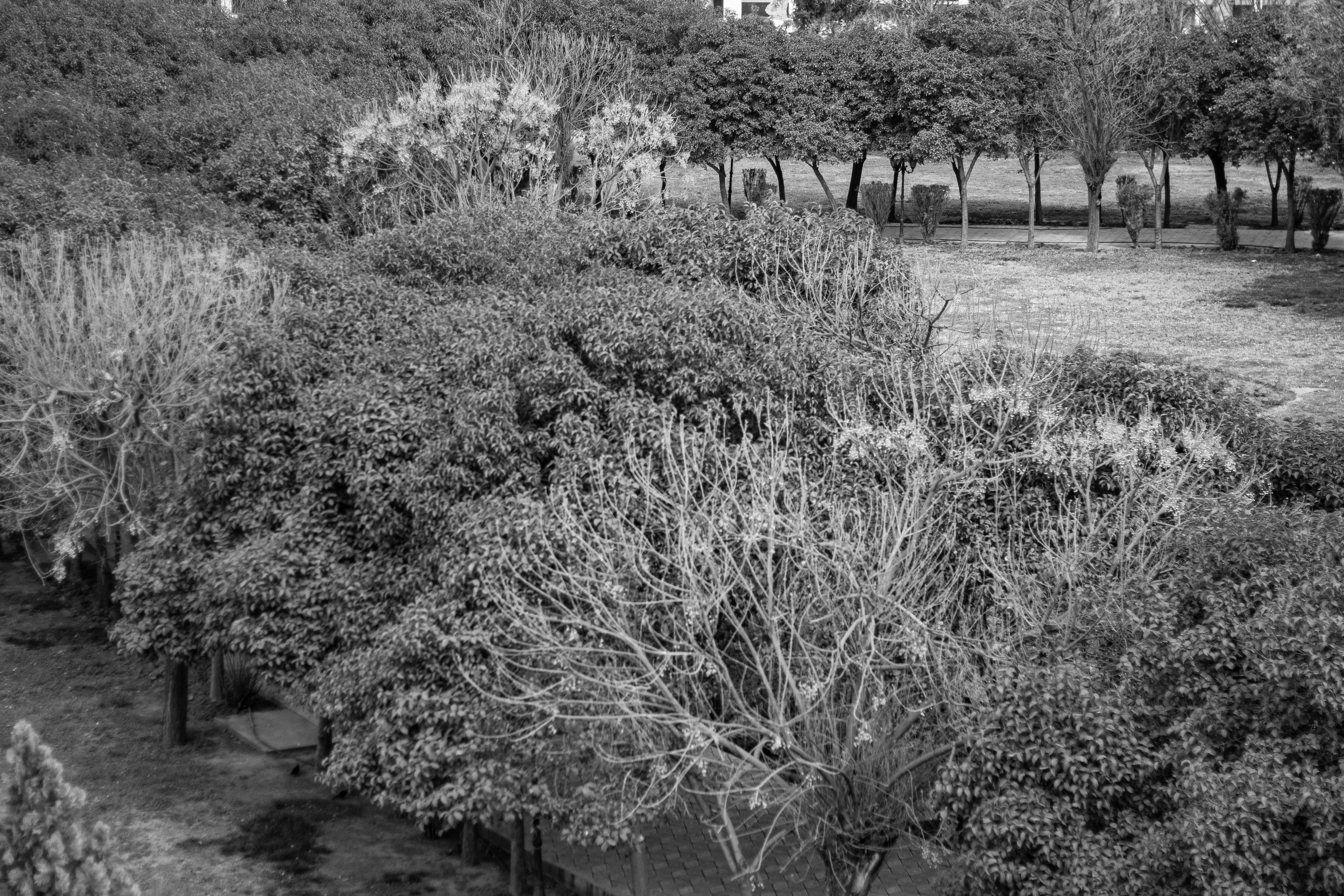 Estados ocultos como señales tempranas: Evaluación y poda de trazas a nivel de paso para un escalado eficiente en tiempo de prueba.