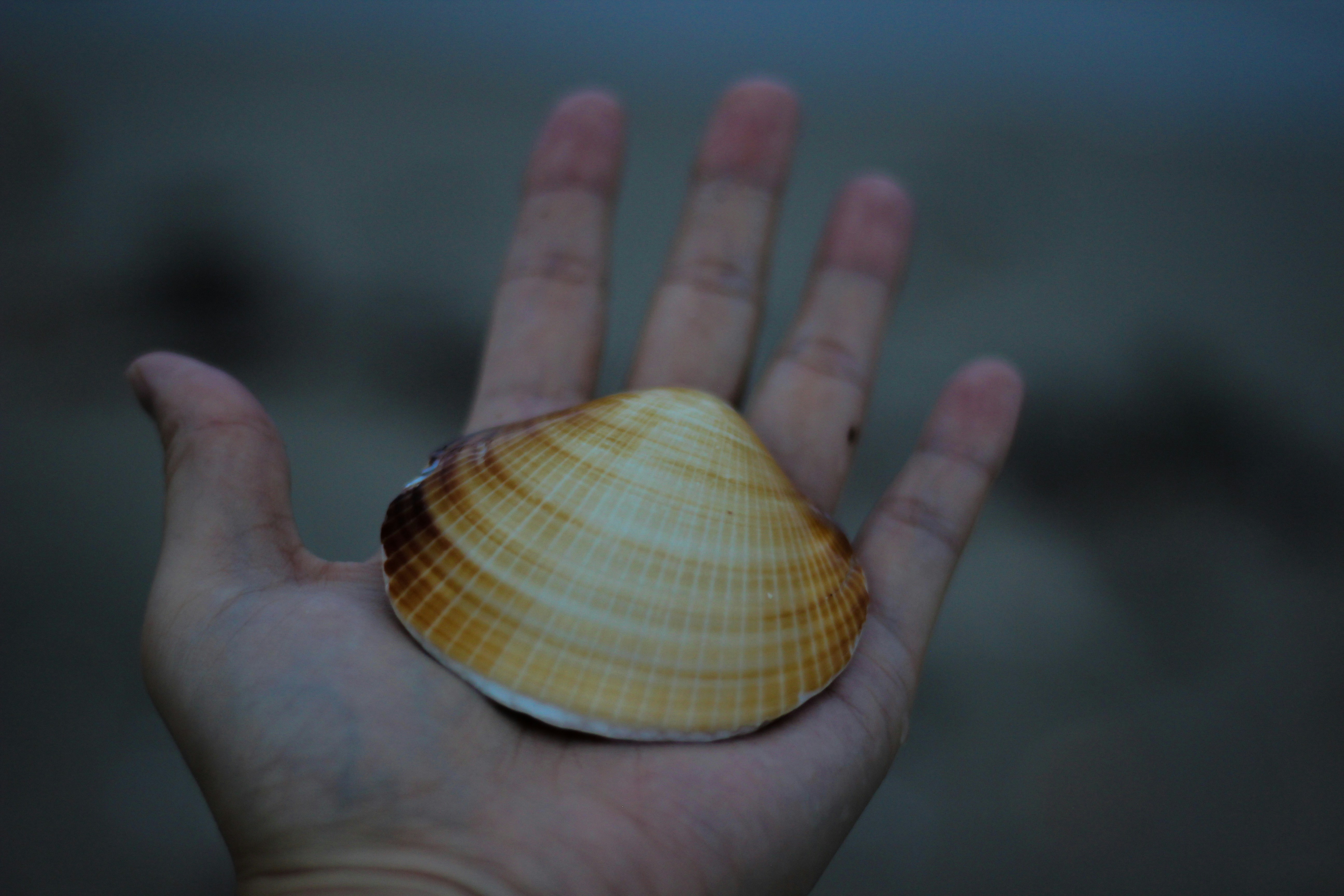 Estudio de caso: Cómo construimos soluciones digitales escalables para Shell - Un líder energético mundial