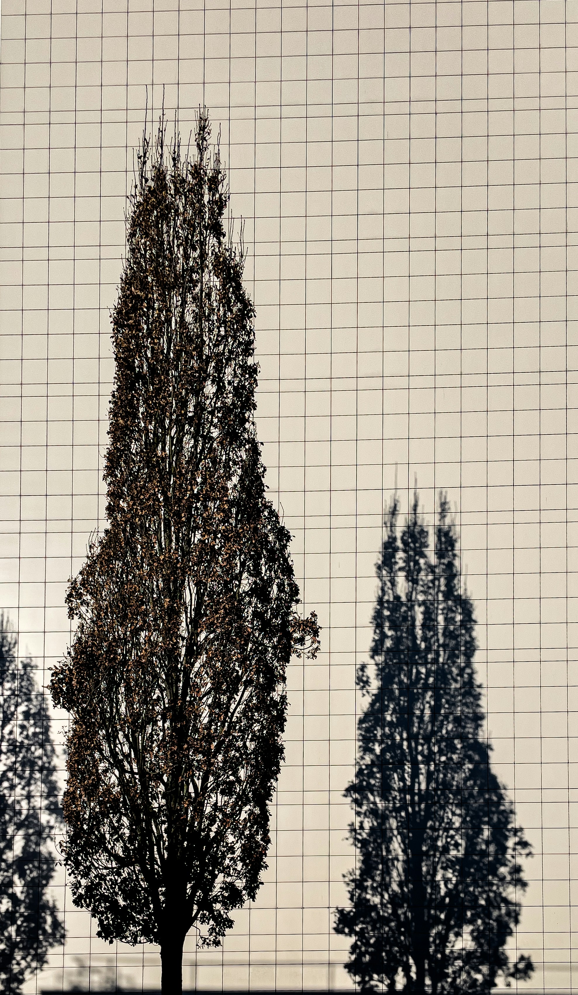 Evaluación de calibración de modelos con árboles de boosting
