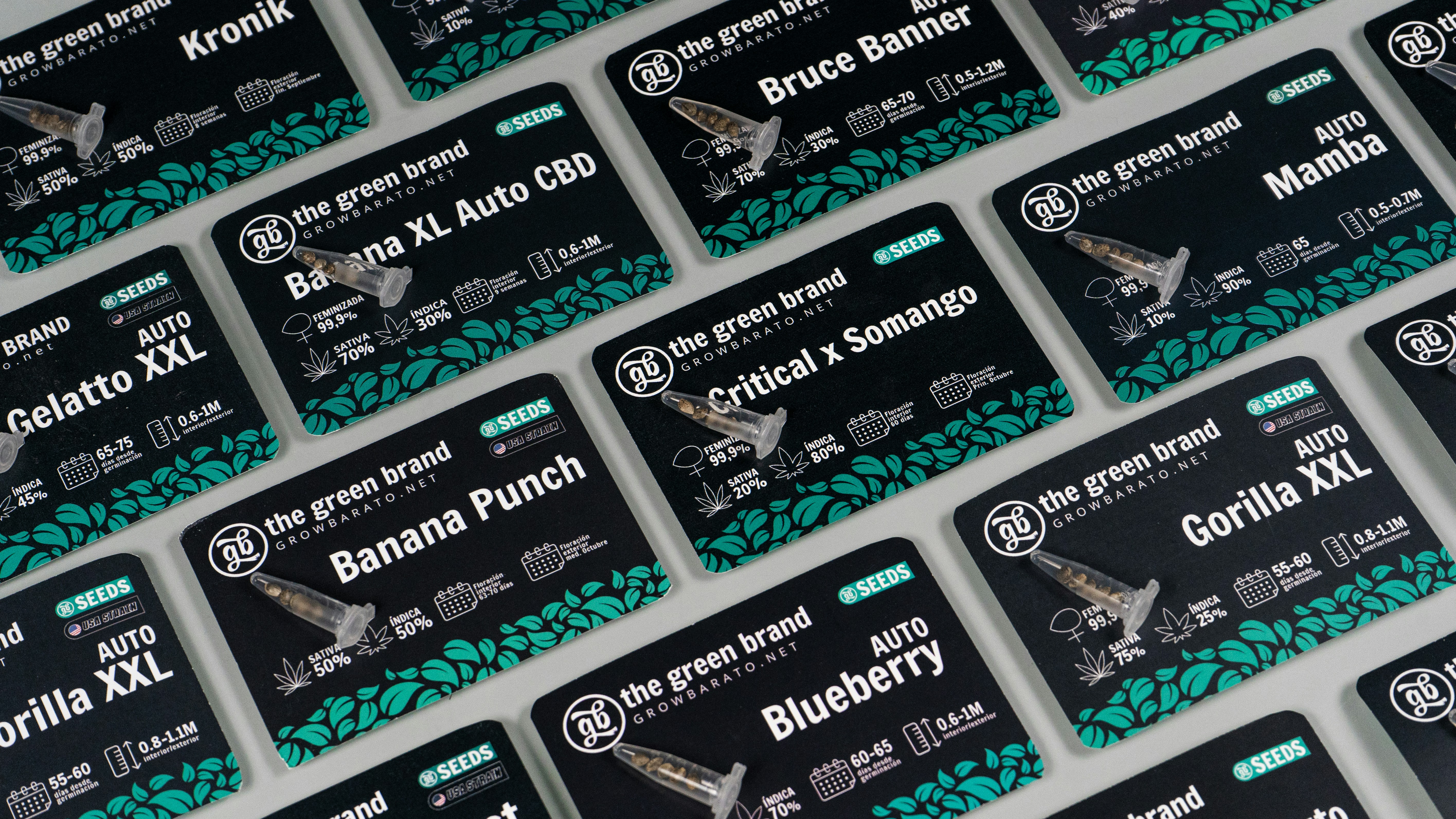 Banca de recompensas personalizadas: Evaluando modelos de recompensa con personalización alineada con humanos