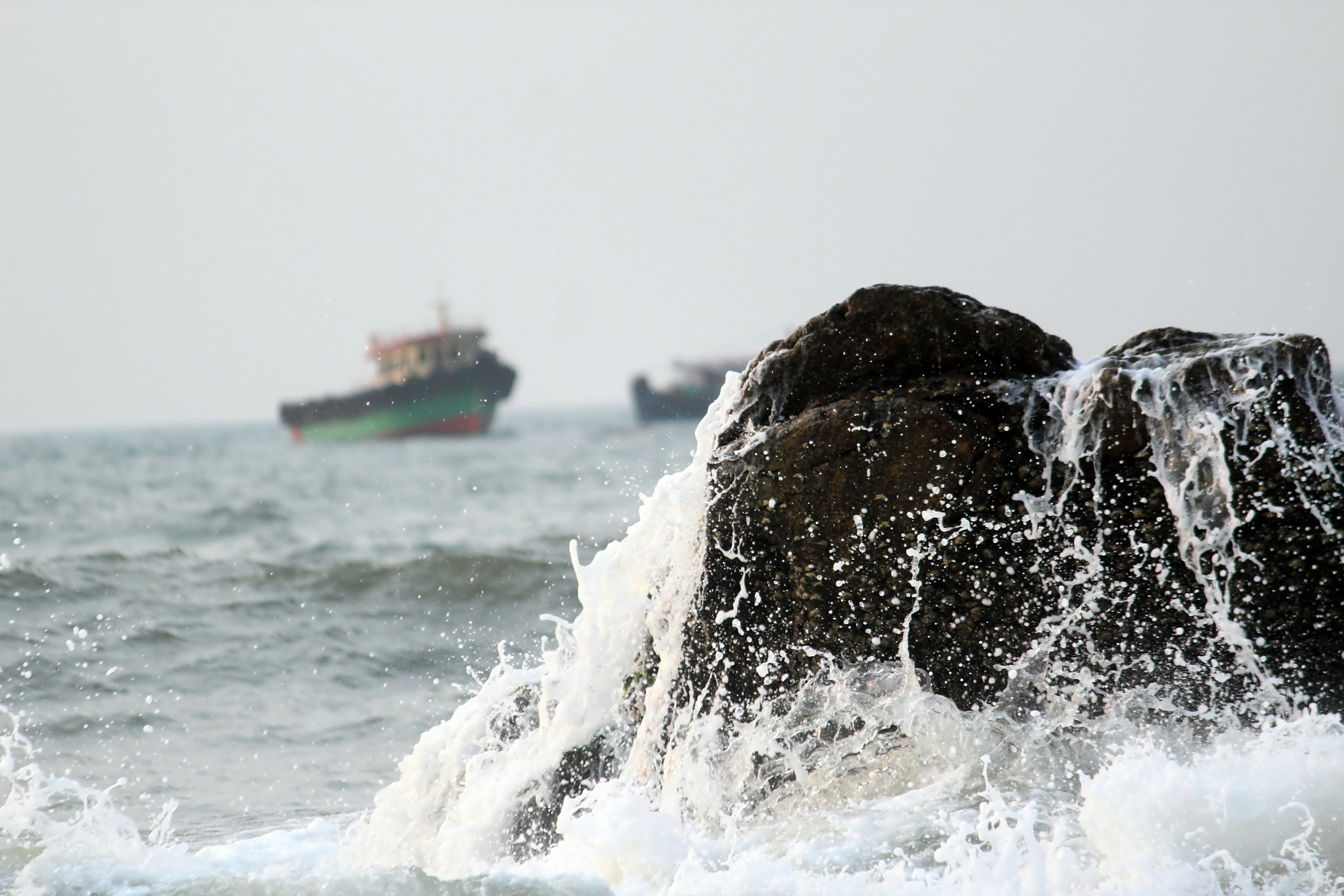 Perros-Coin Ballenas derraman $2,500 millones en DOGE - ¿el alza está terminando o aún no ha comenzado?