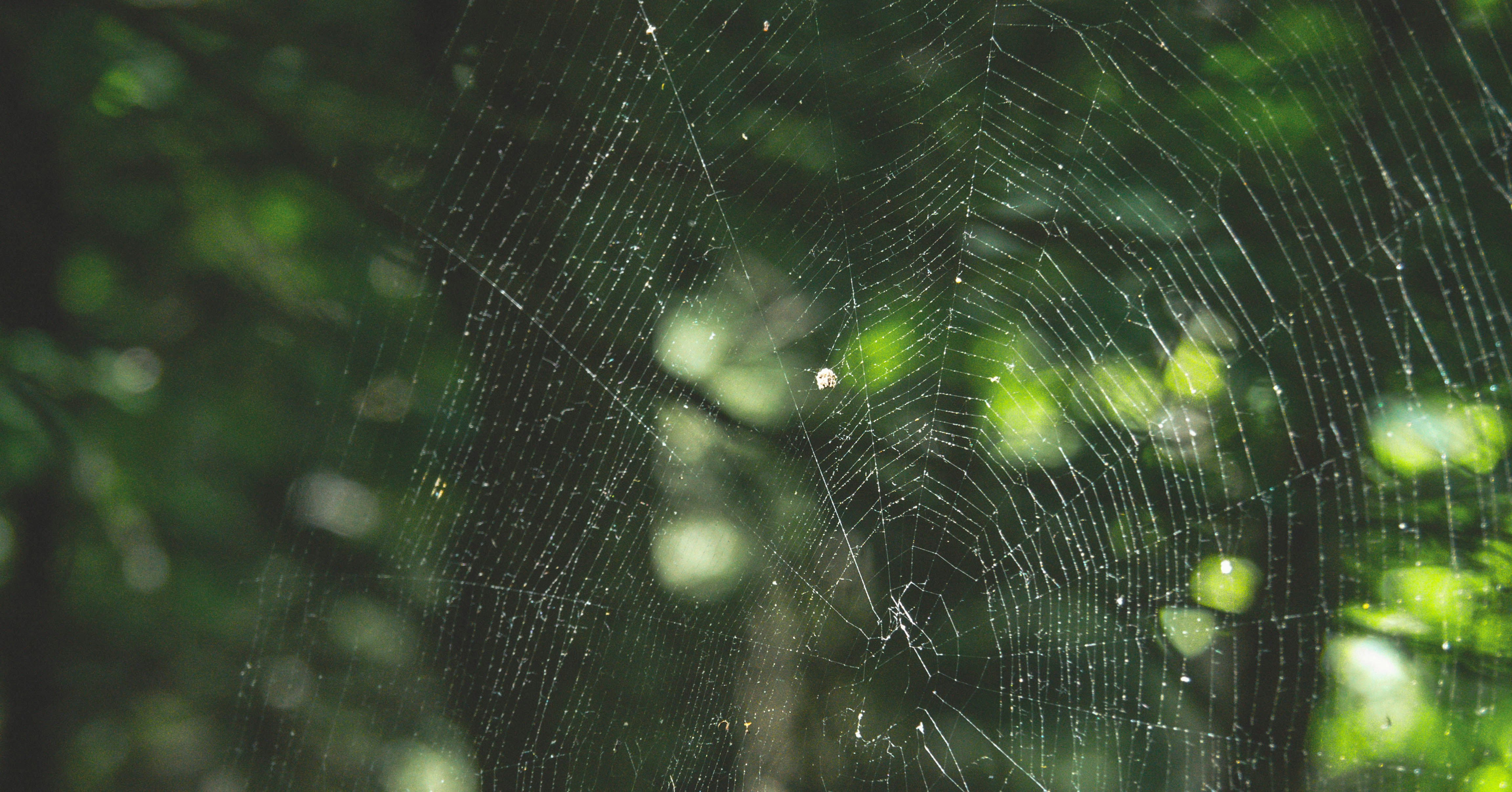 ¿Web3 Sin Billeteras? - Mi Viaje hacia la Experiencia de Usuario Invisible