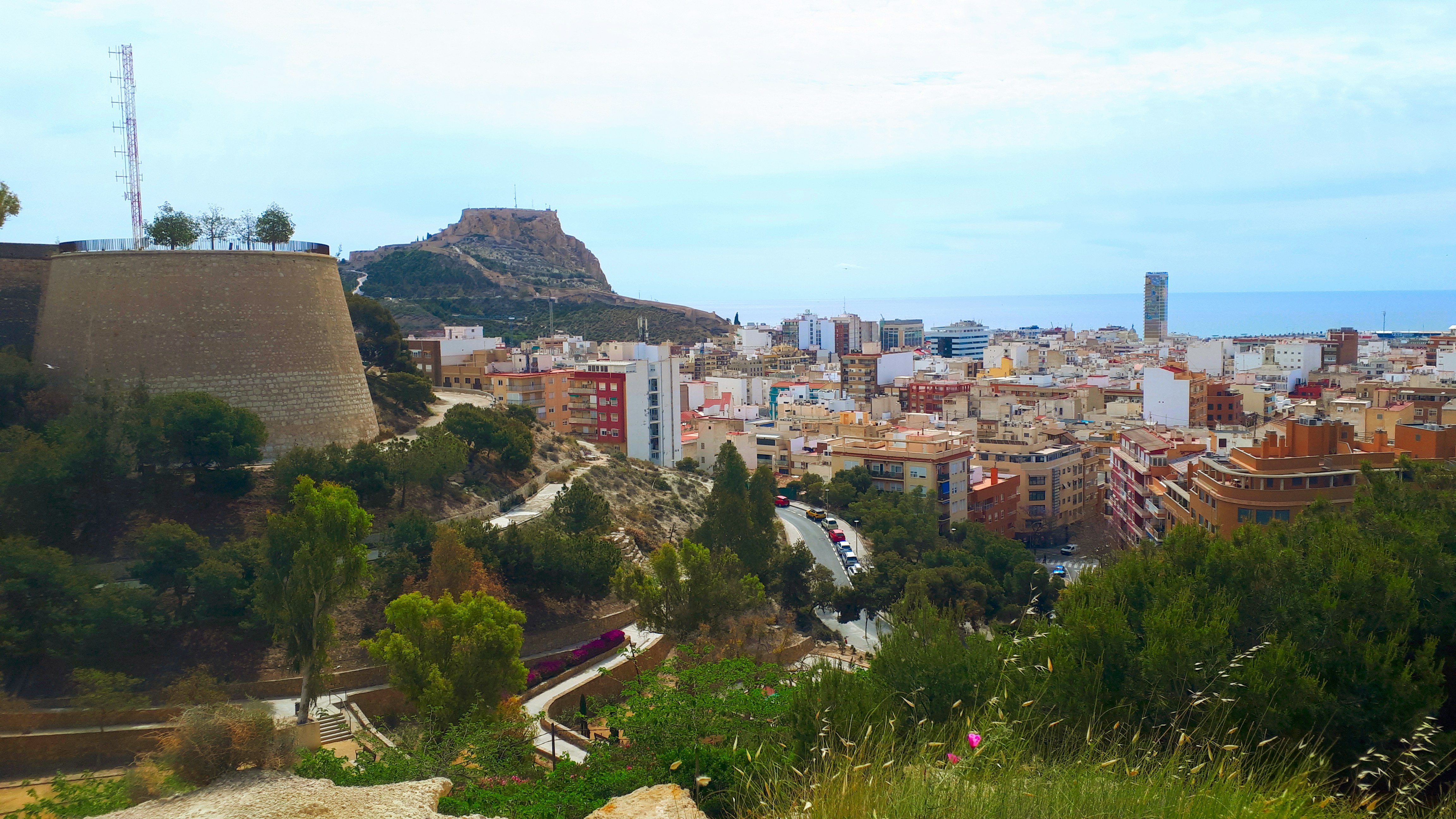 Socio en Alicante para codificación de ambiente gubernado oficial para empresas - Más de 15 años de experiencia