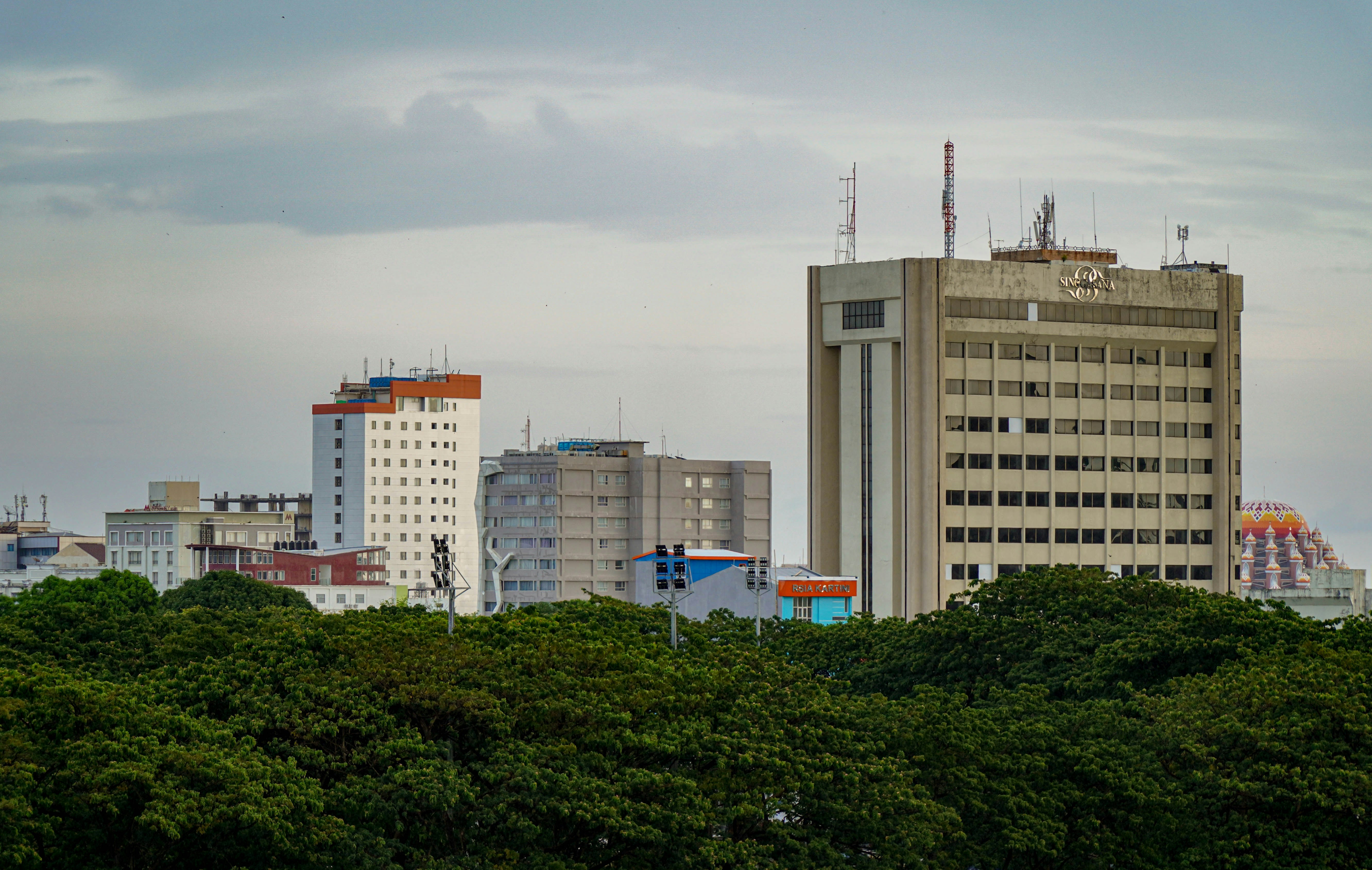 Socio oficial de inteligencia artificial SEO en Santo Domingo de la Calzada - Más de 15 años de experiencia