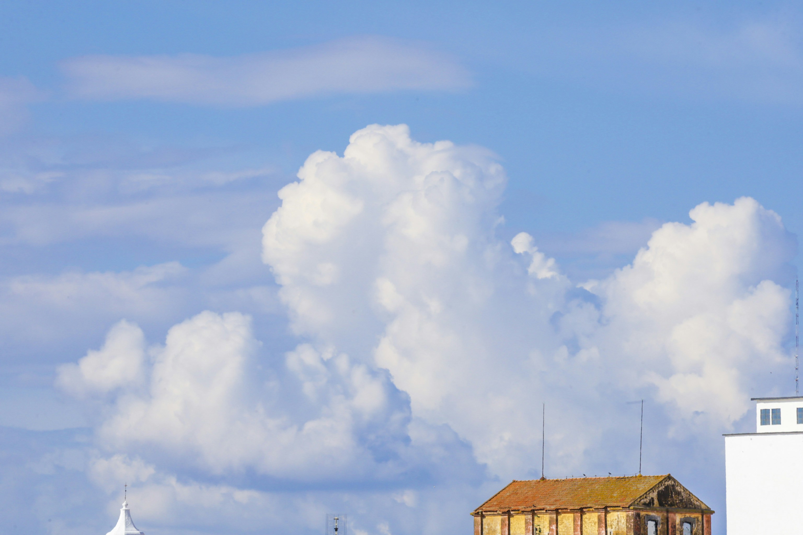 Top 30 Expertos en alojamiento en la nube para aplicaciones de software personalizado en Alicante