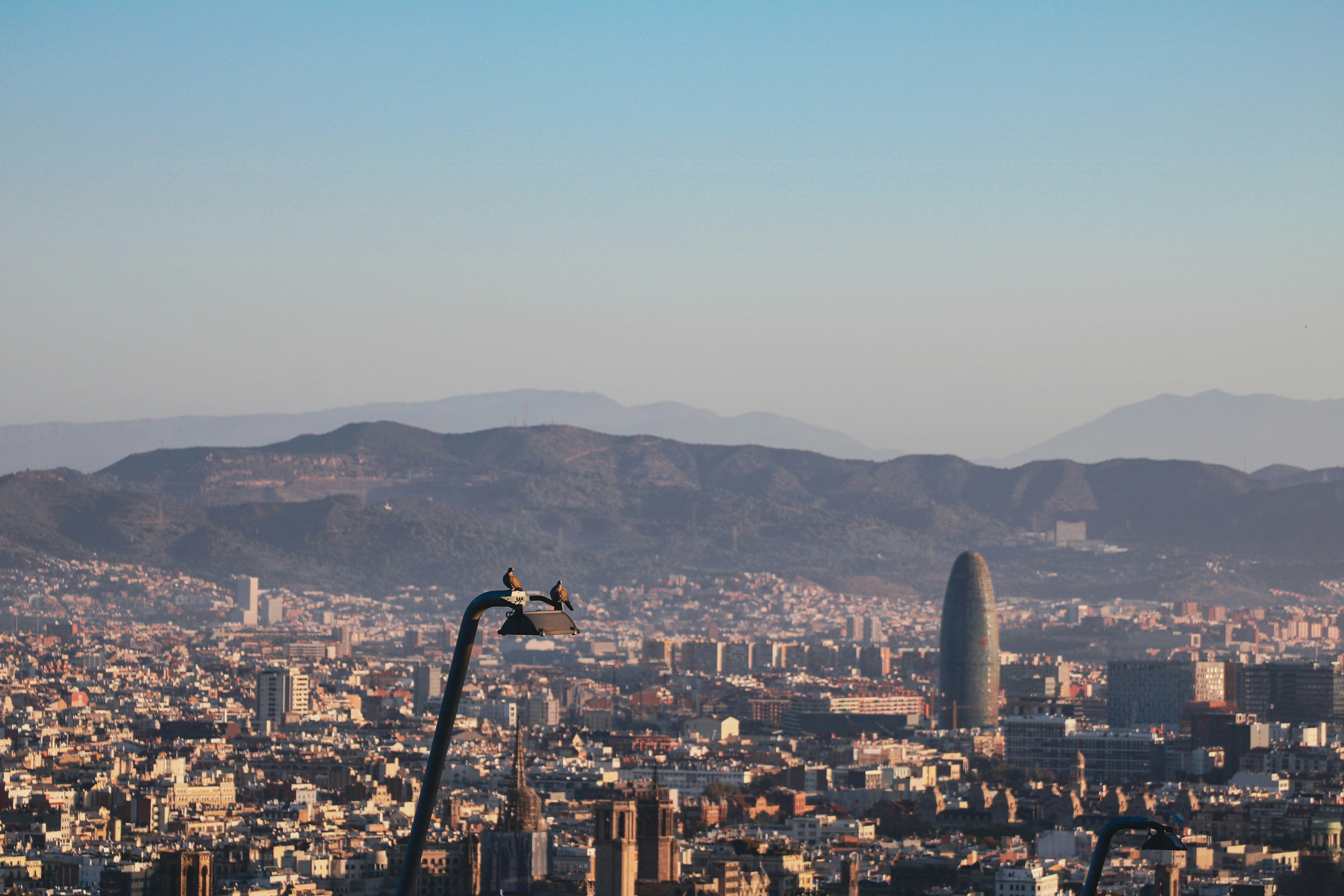 Top 15 Expertos en servicios de automatización de API en Barcelona