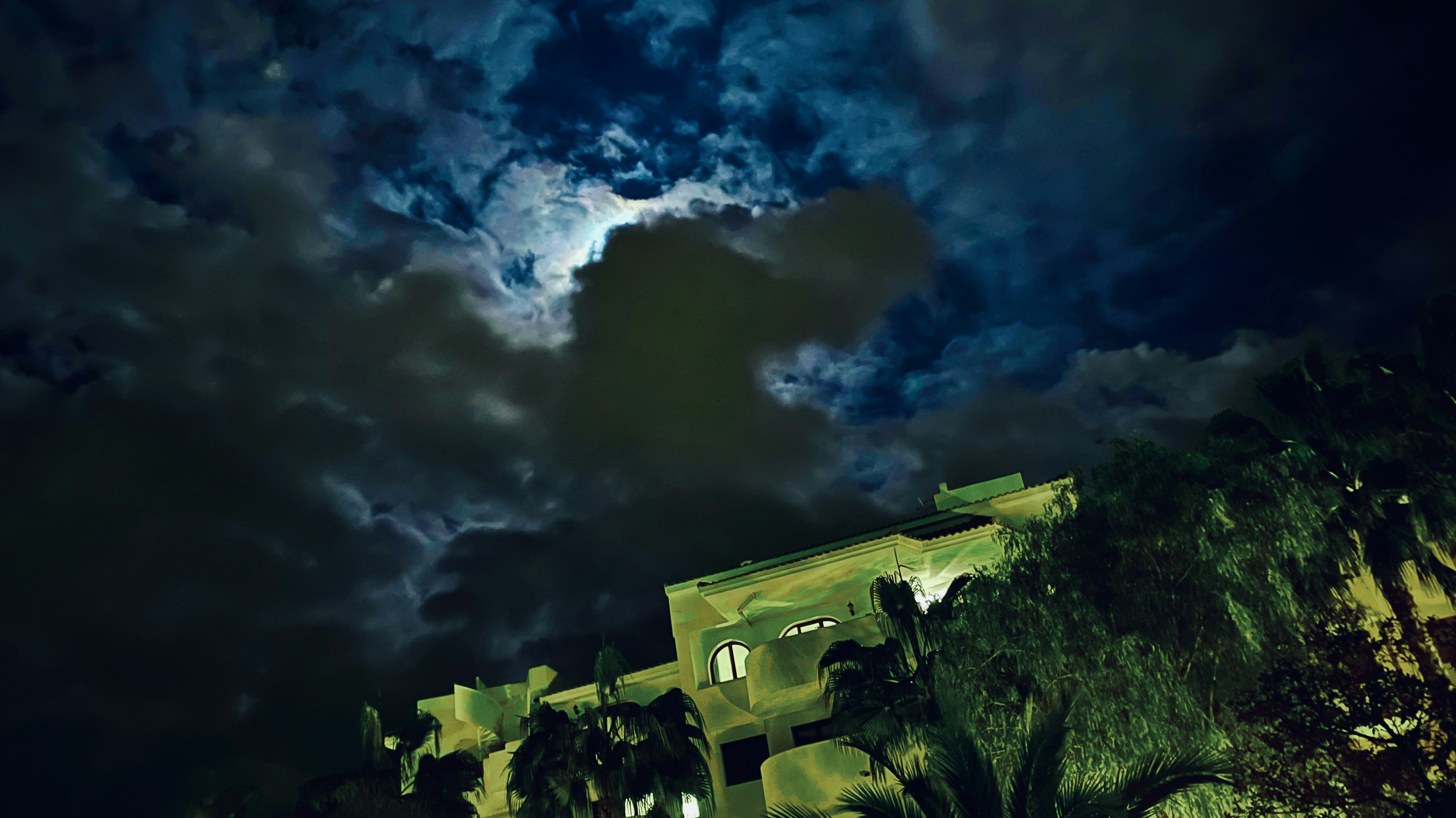 Top 30 Expertos en bots de whatsapp en Torrevieja