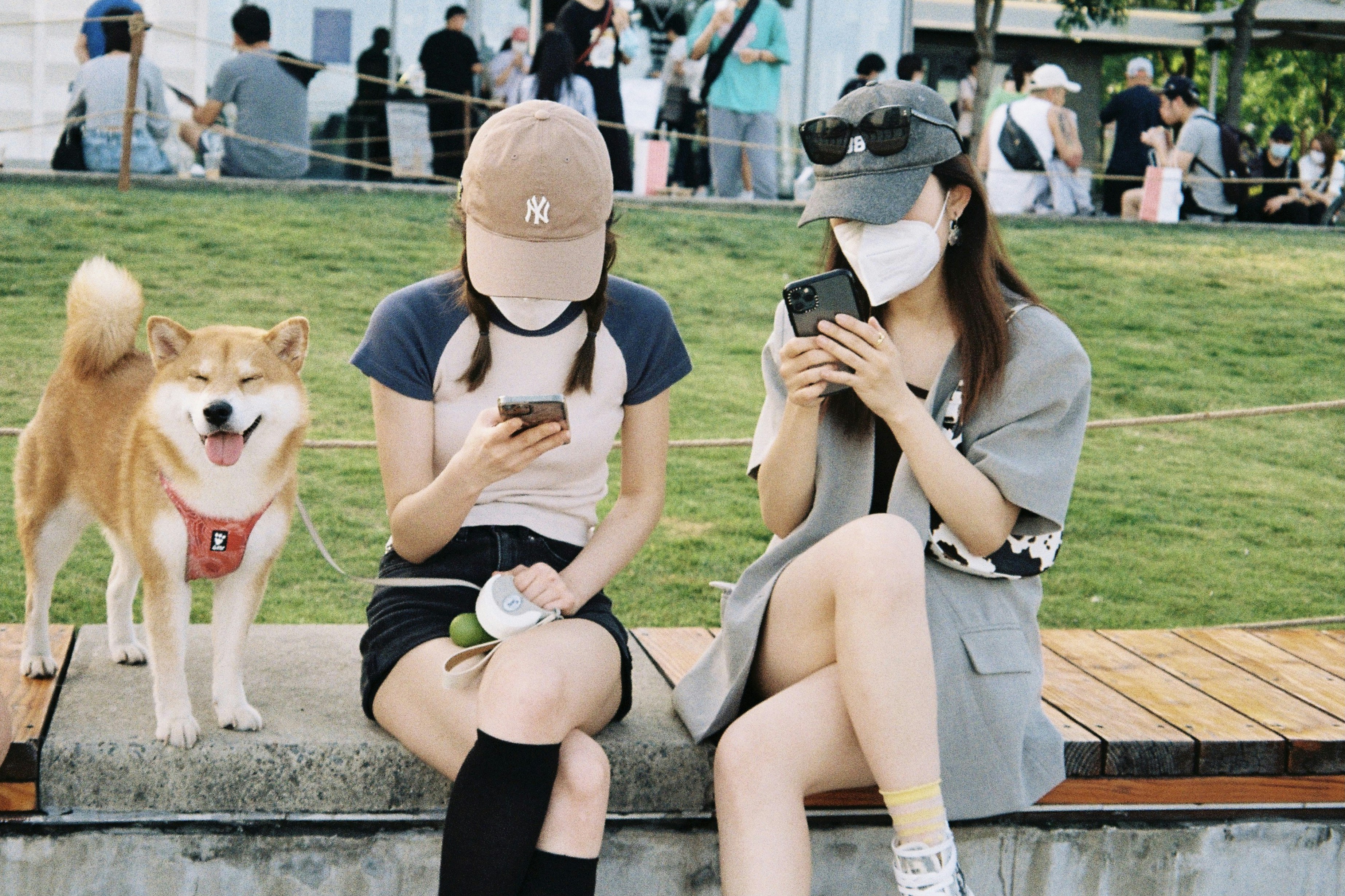 Principales 3 Expertos en bots de Instagram en Sestao