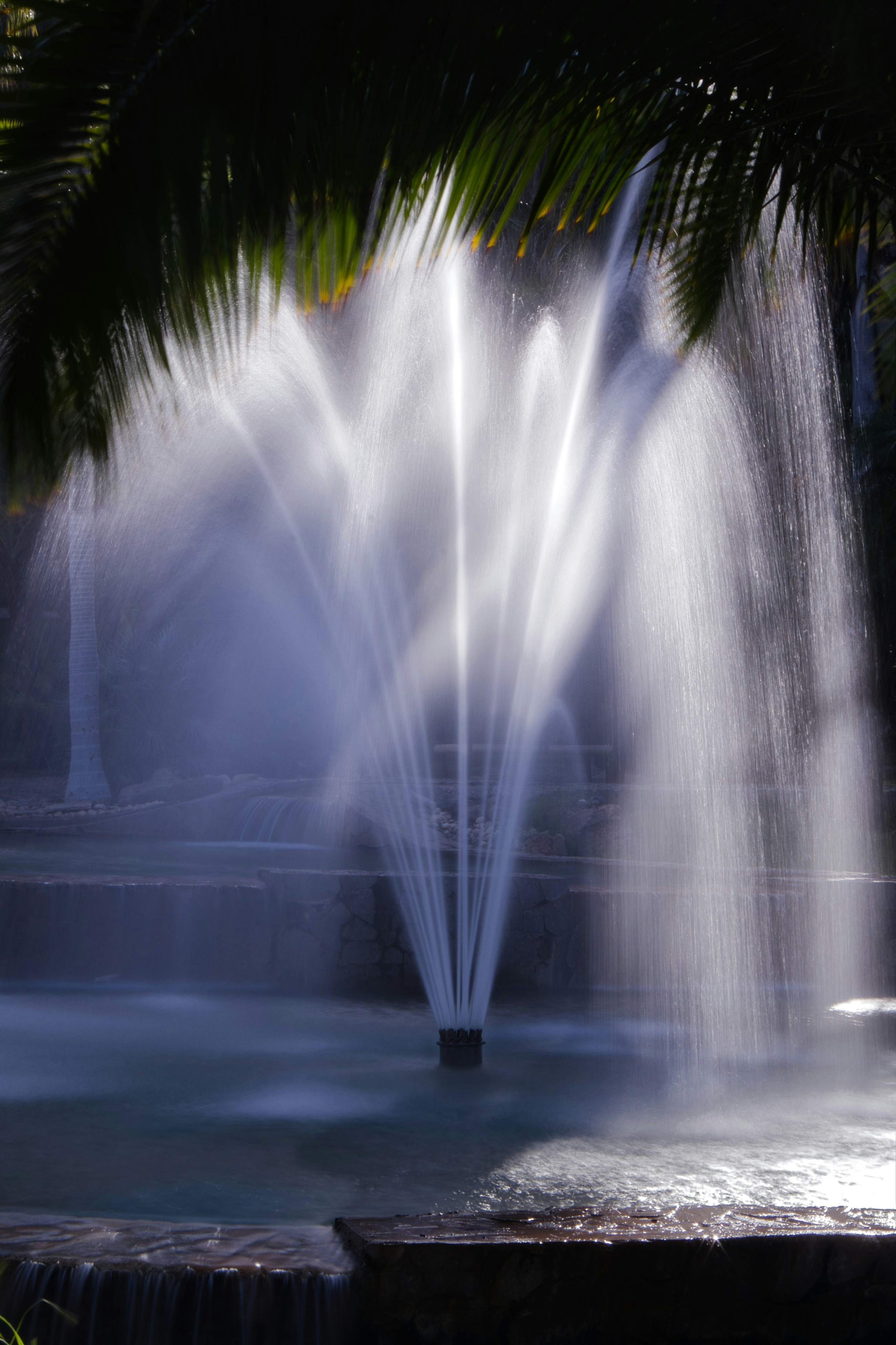 Top 10 Expertos en chatbots en Torremolinos