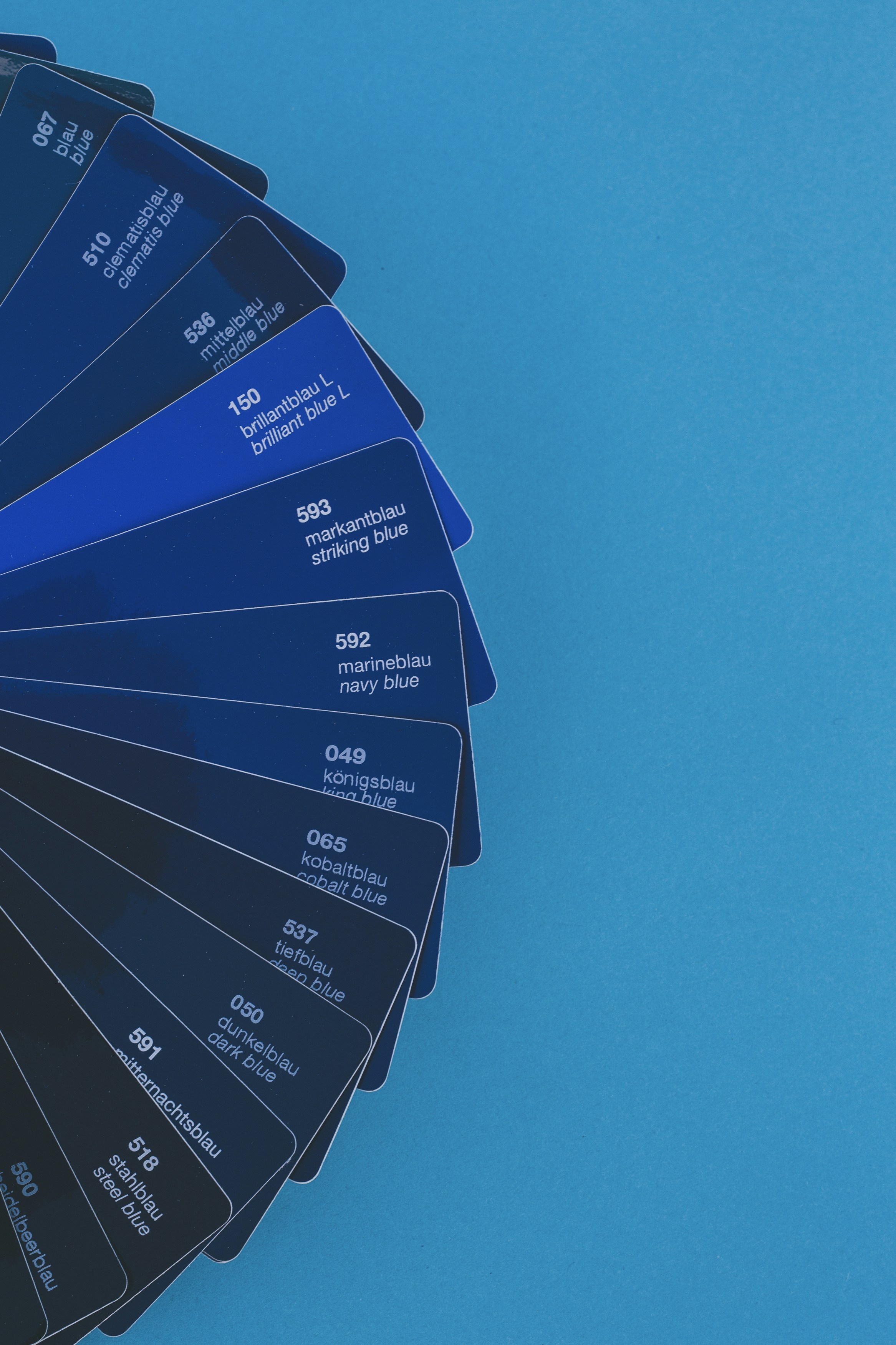 Los 20 expertos en cuánto cuesta una aplicación web personalizada en Murcia
