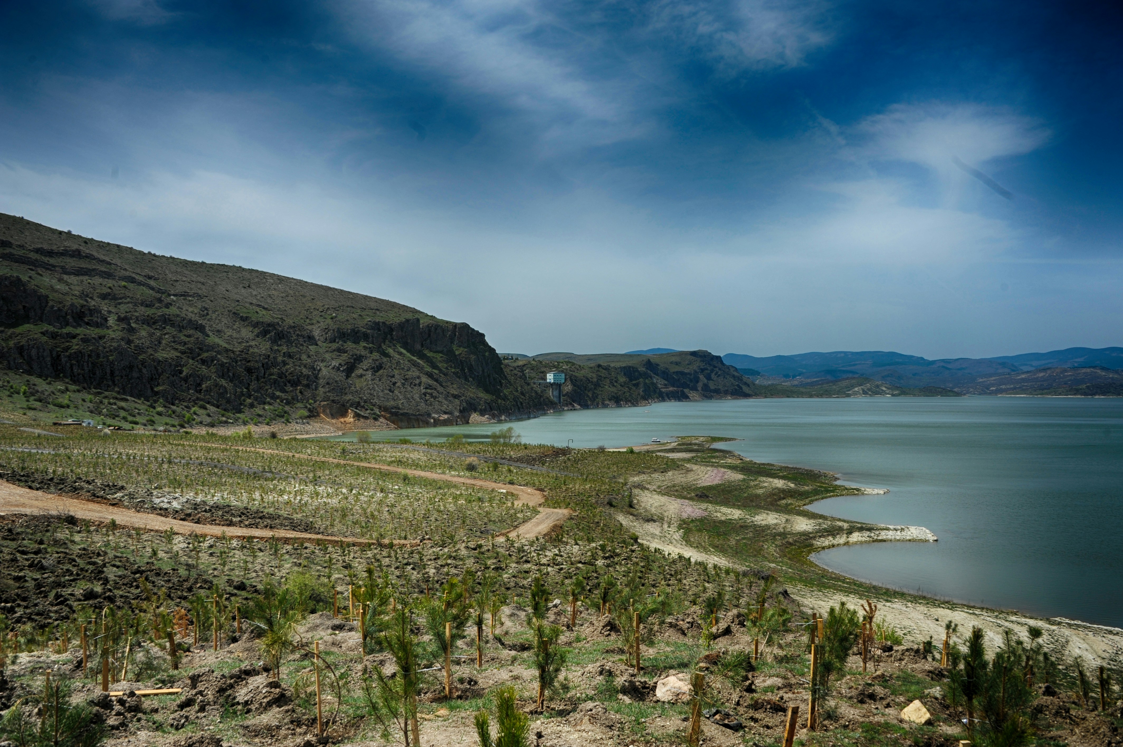 Top 20 Expertos en aplicaciones personalizadas en Laguna de Duero