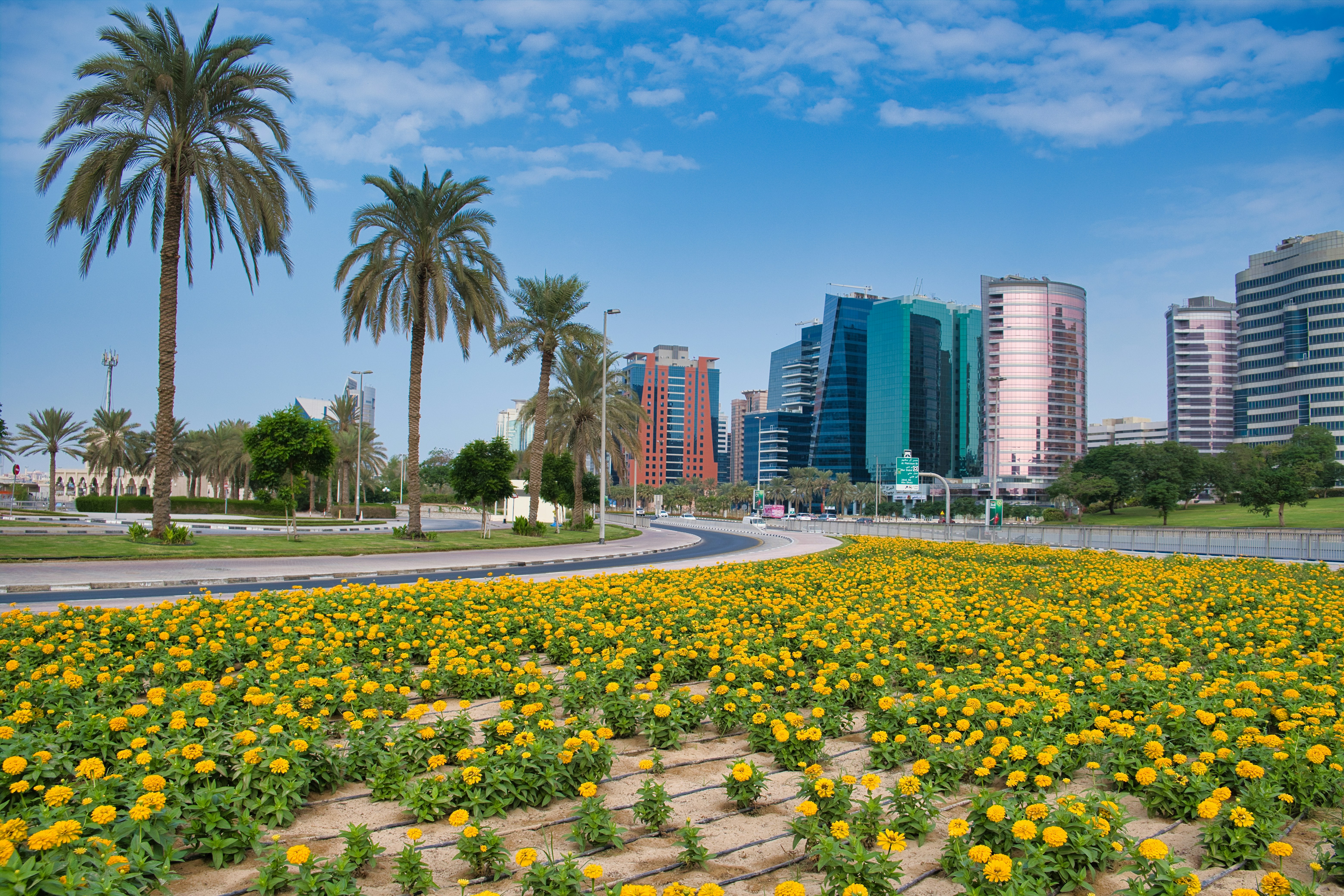 Top 15 Expertos en desarrollo de flujos de trabajo n8n en Medina del Campo