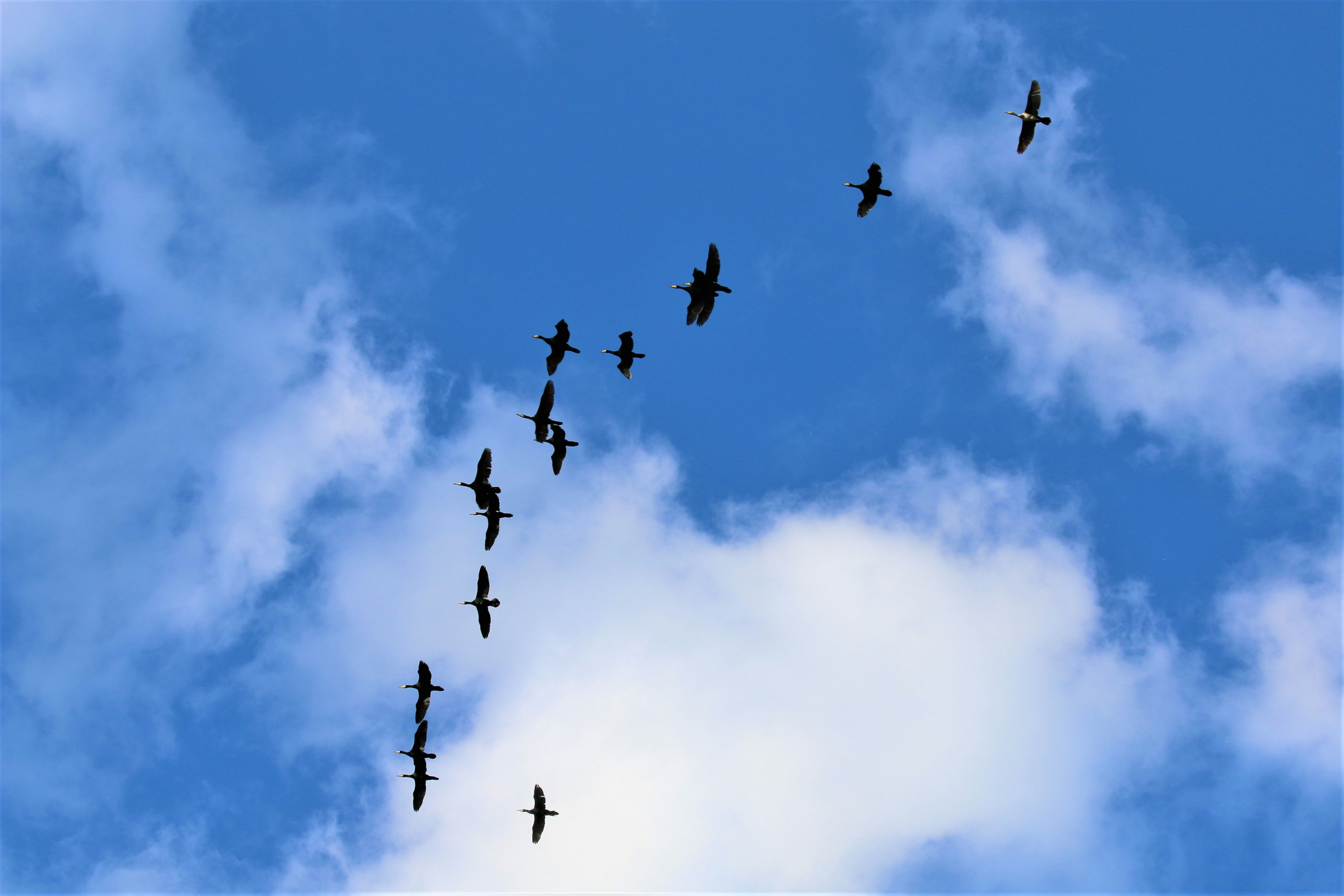 Principales 100 expertos en servicios de migración a la nube Azure para empresas en Valladolid