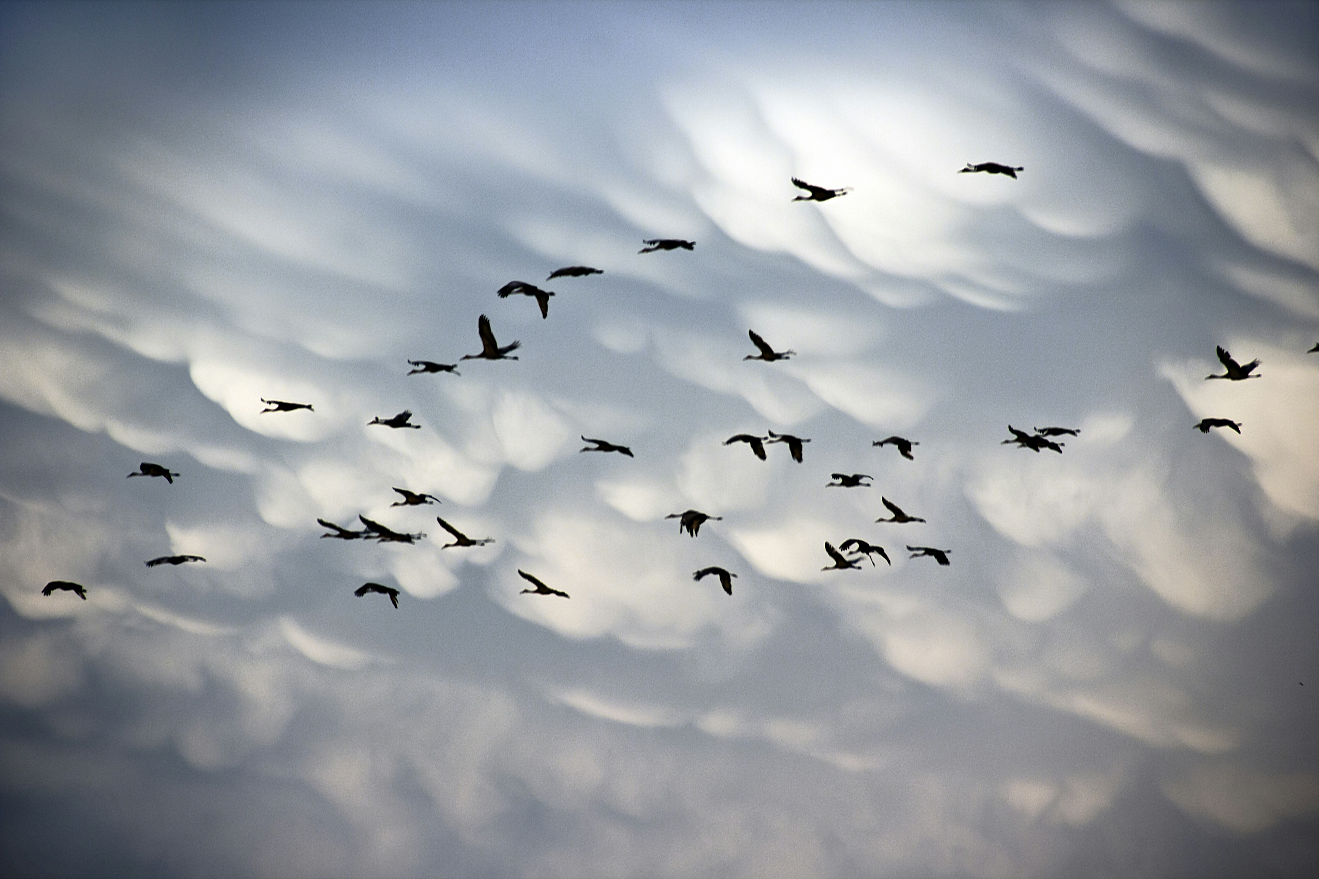 Top 20 Expertos en servicios de migración a la nube de Azure para empresas en Barcelona