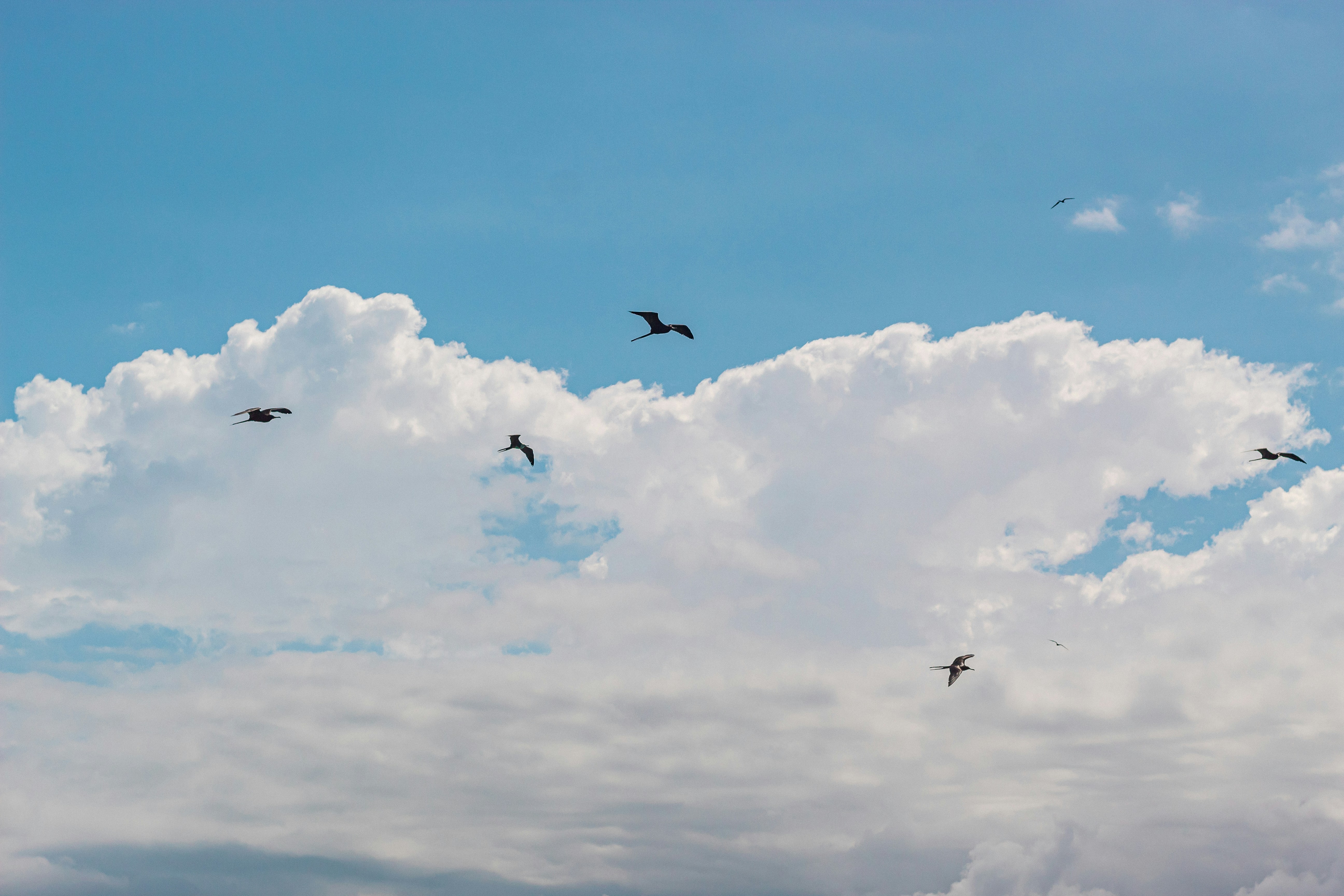 Servicios de migración a la nube de Azure para socios comerciales en Las Palmas de Gran Canaria - Más de 15 años de experiencia