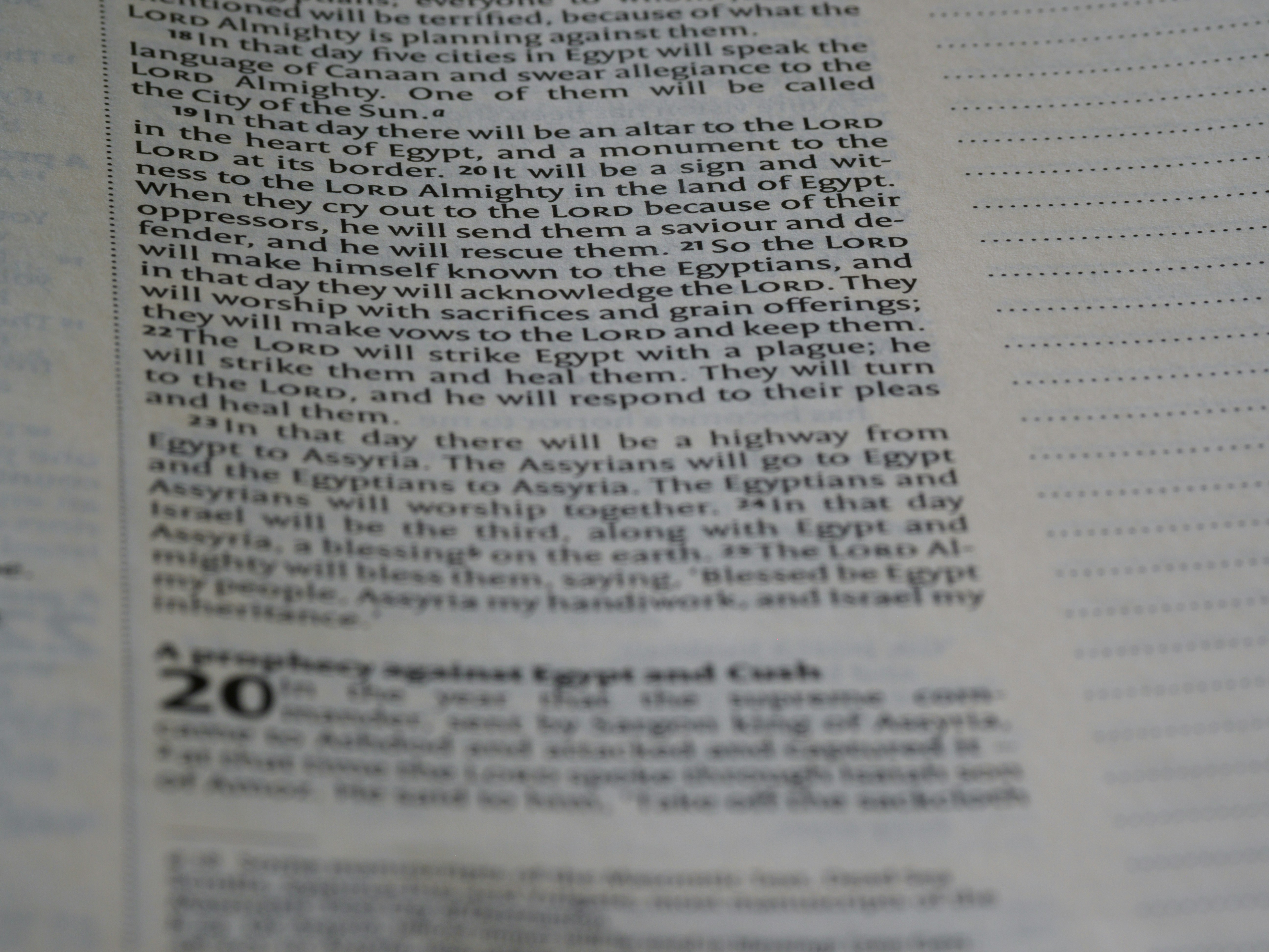 Top 20 Expertos en migración de automatizaciones a n8n en Elche