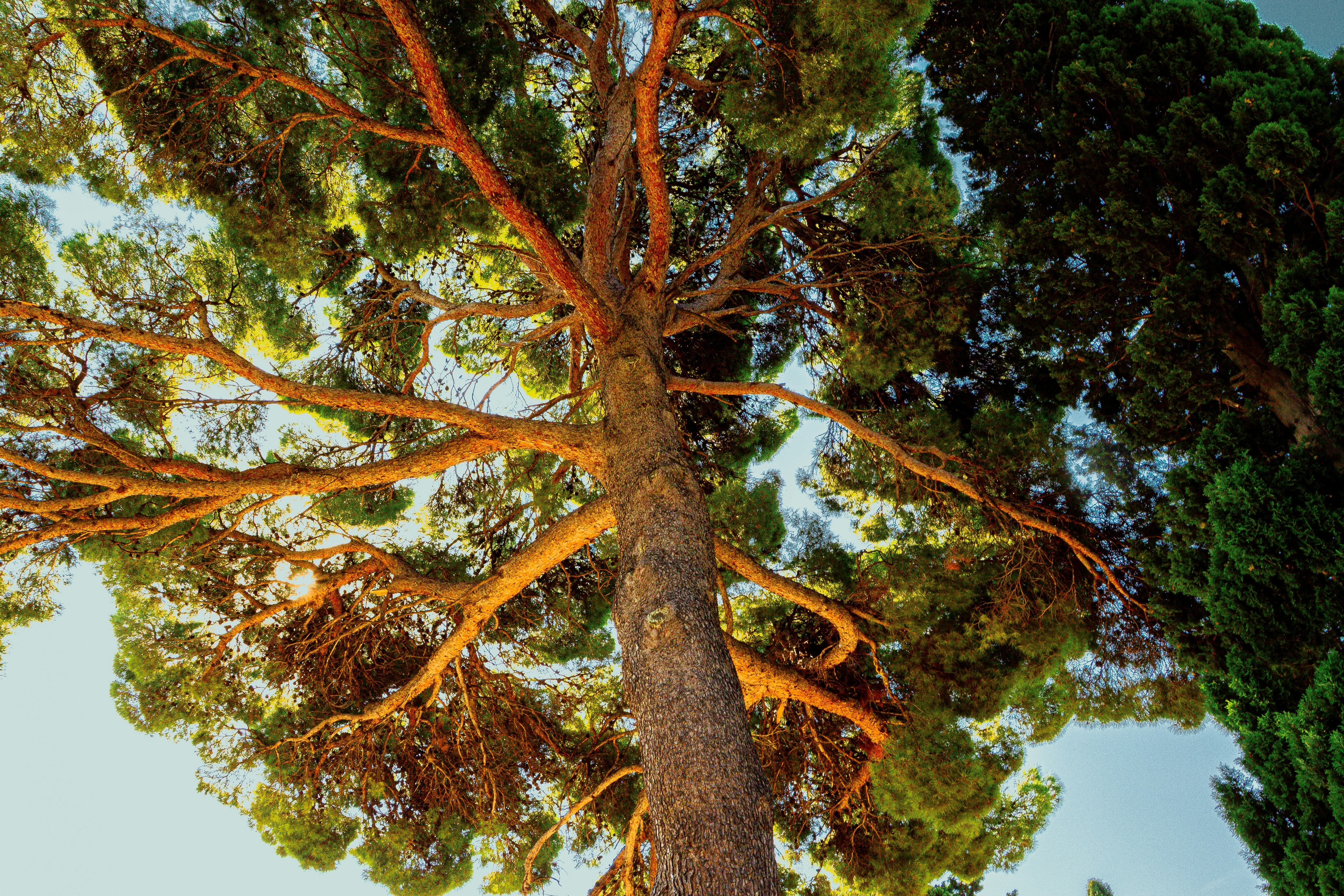 Top 20 Expertos en Power BI en Alberite