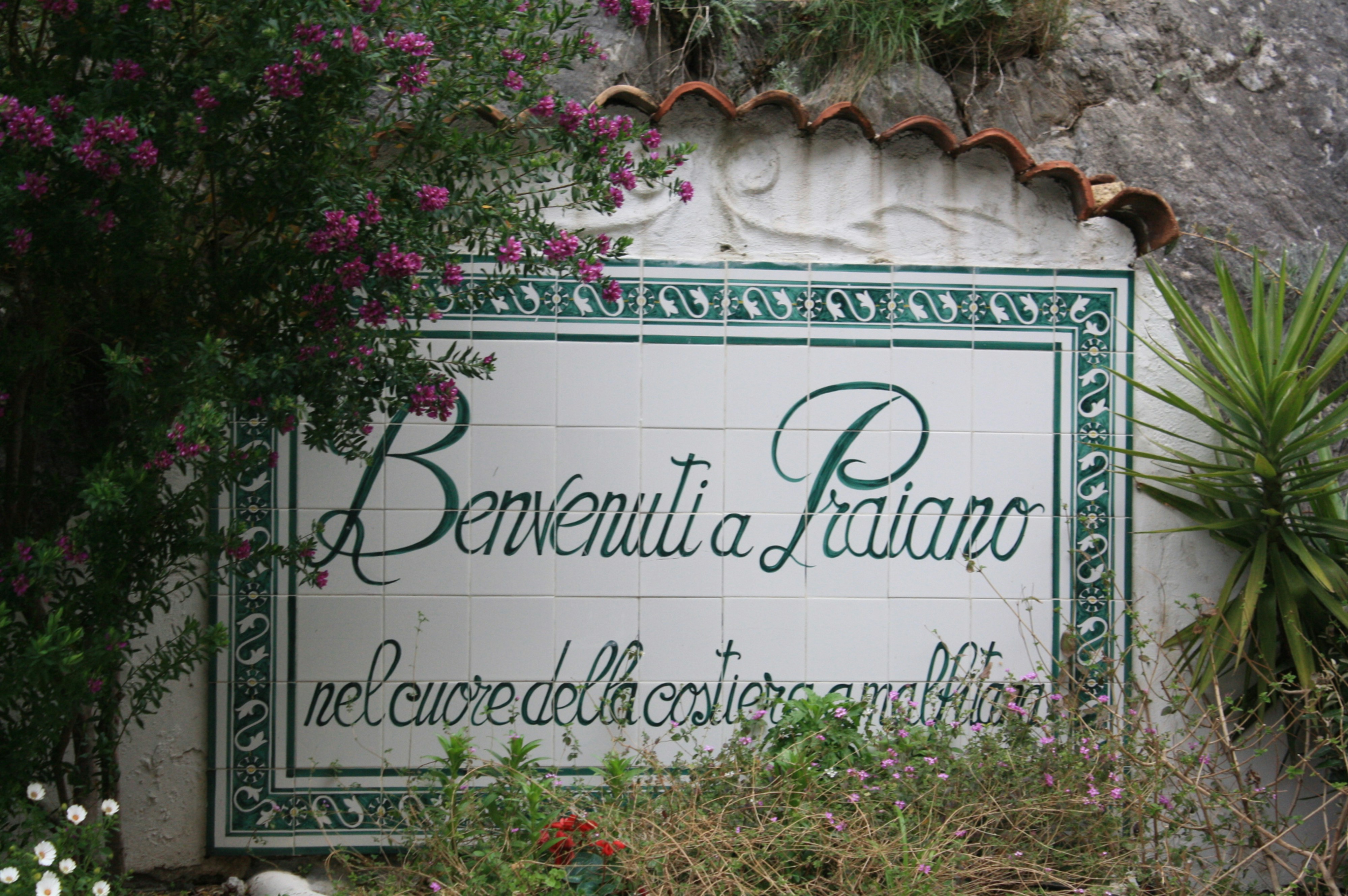 Socio oficial de Power BI en Paterna - Más de 15 años de experiencia