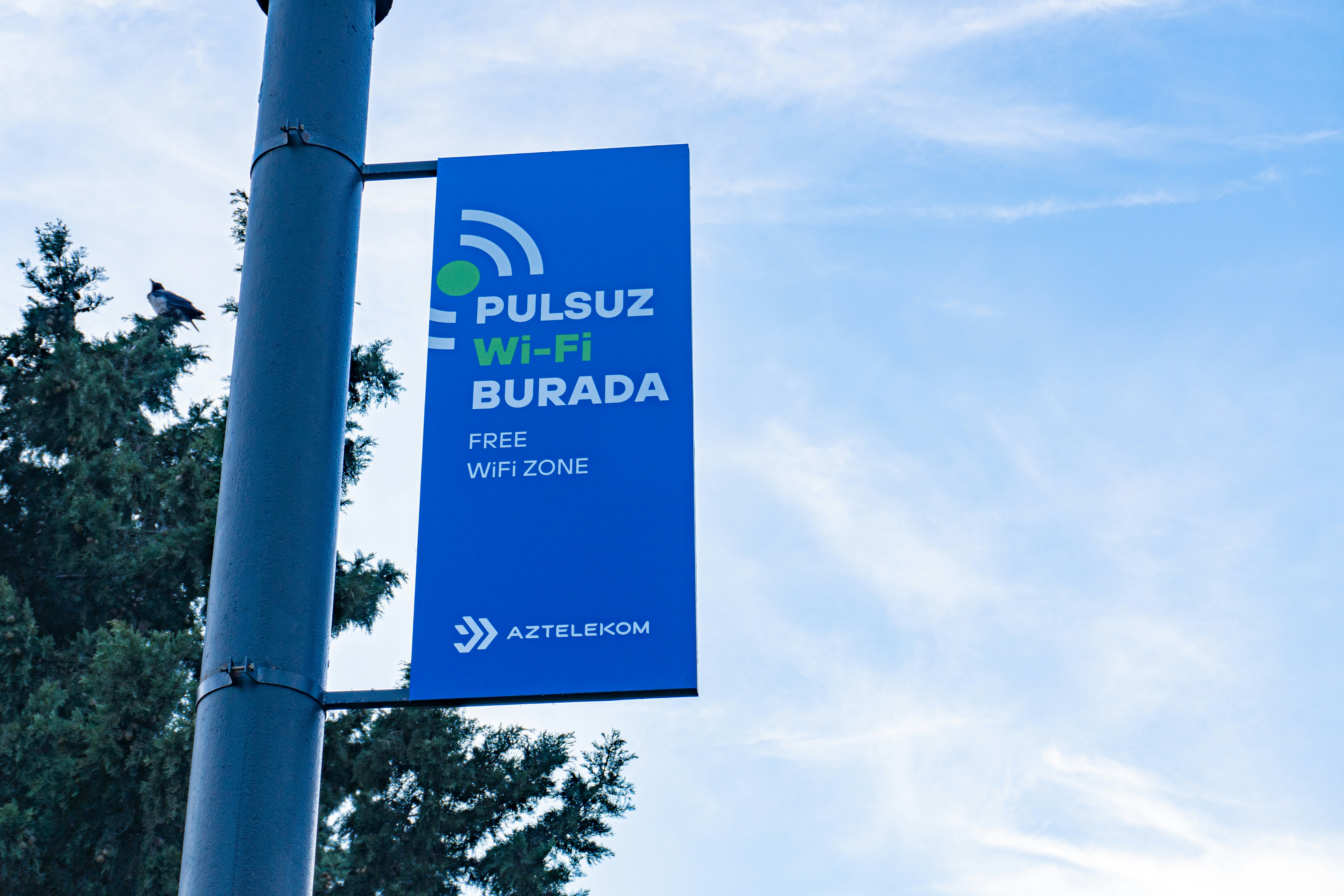 Servicios profesionales de inteligencia empresarial en Burlada