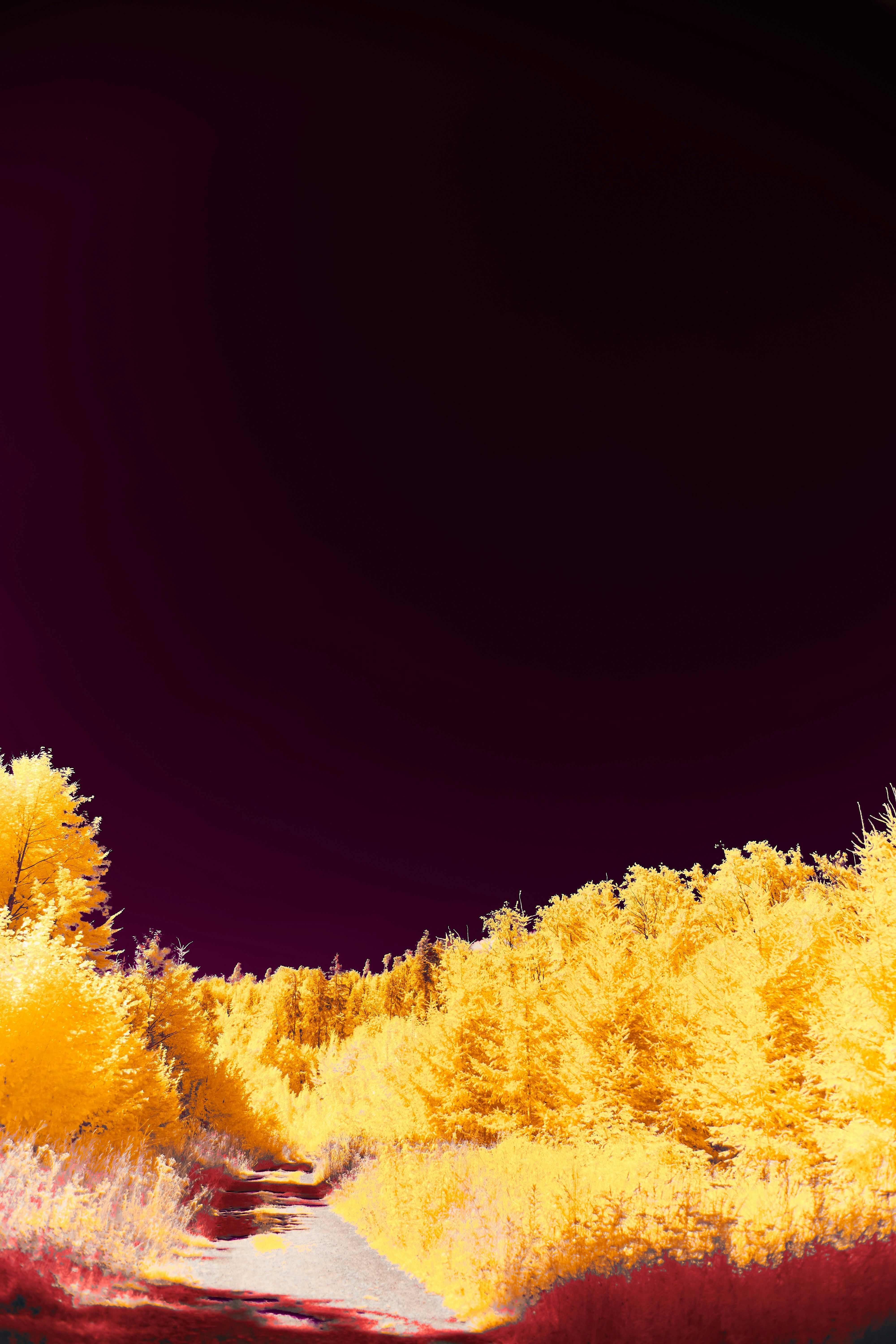 Los 10 mejores expertos en desarrollo de ERP personalizado para manufactura en Bilbao