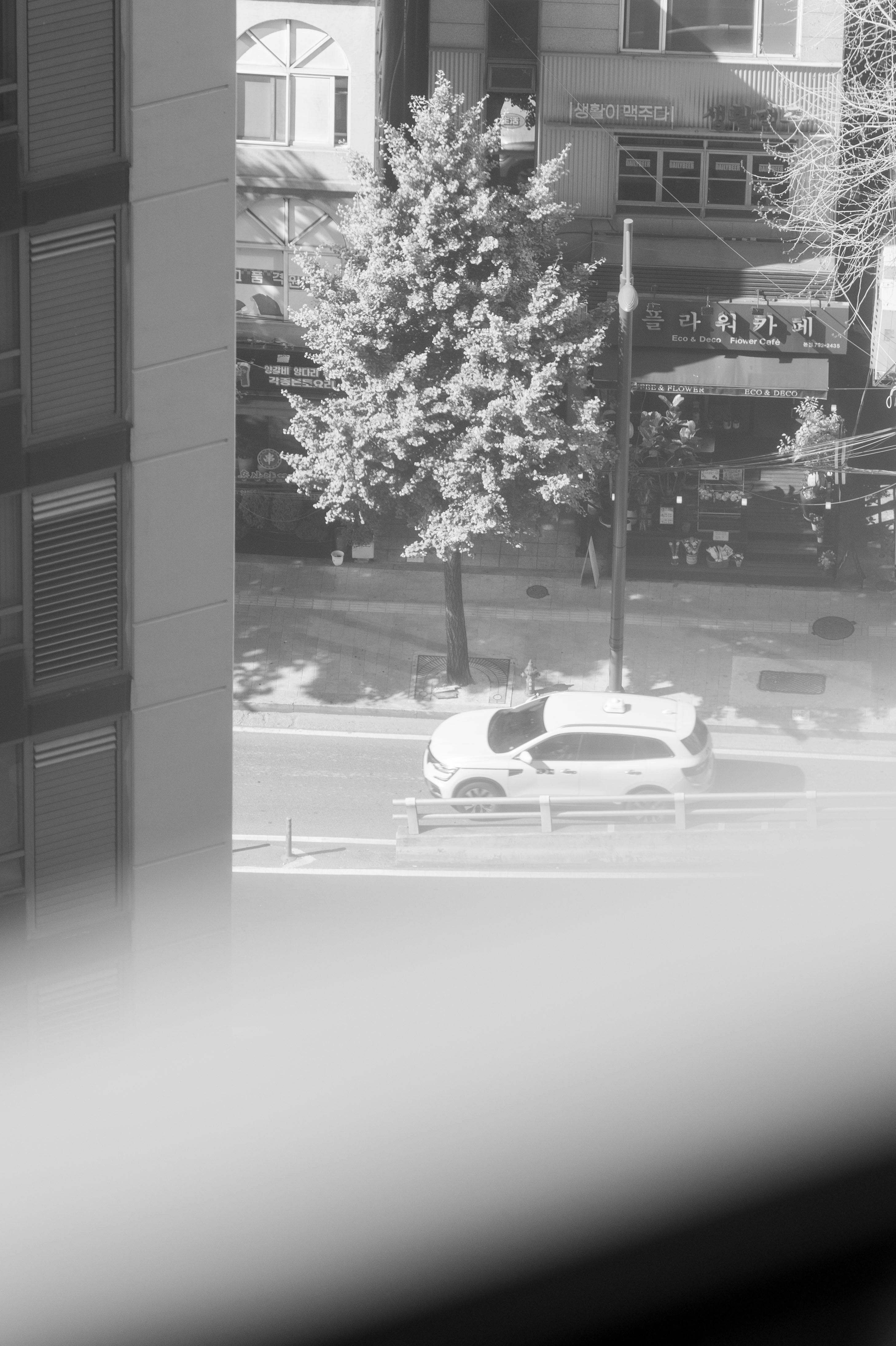 Los 100 mejores expertos en cómo evaluar socios de implementación de IA en Bilbao