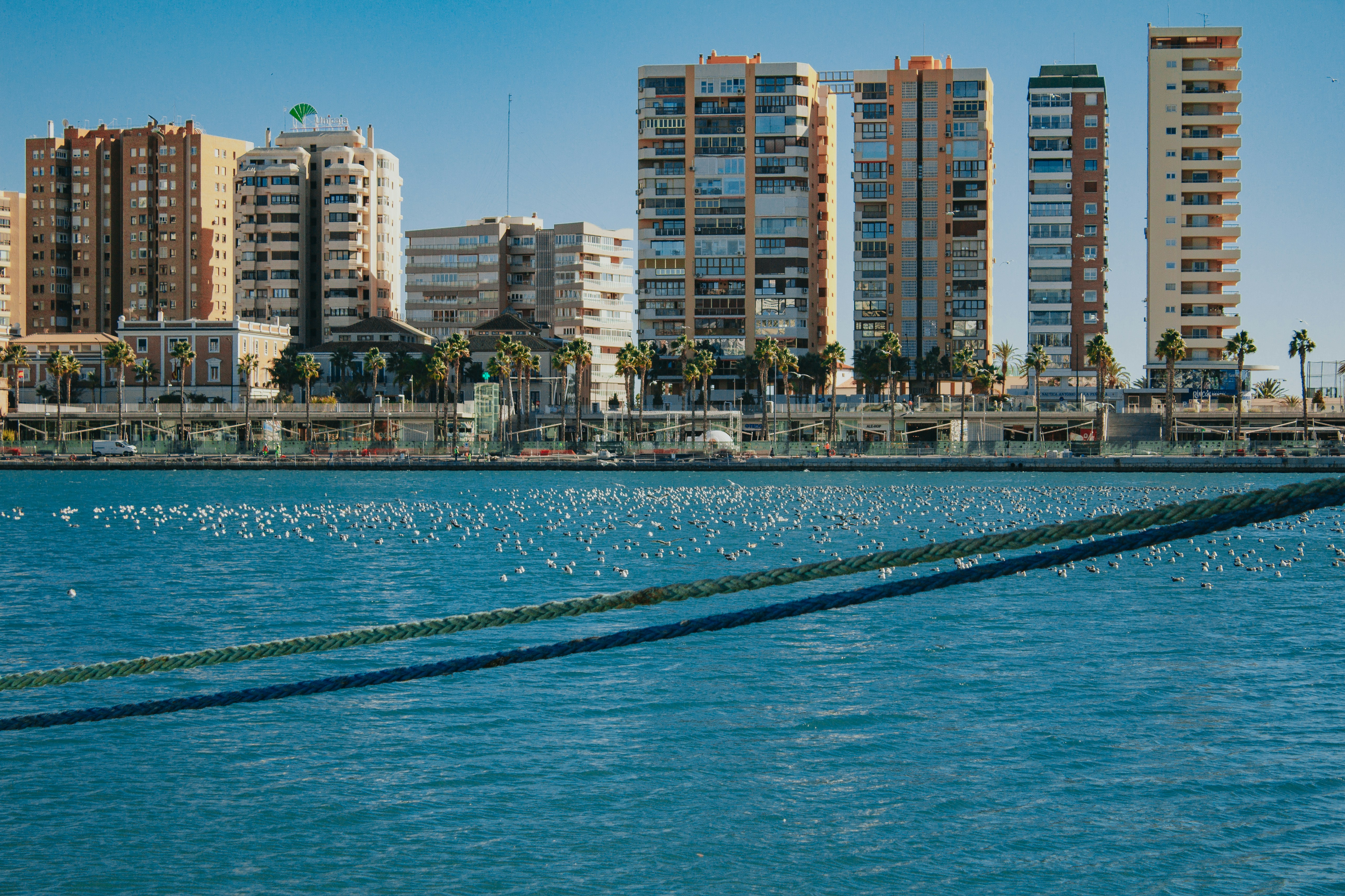 Principales 3 expertos en desarrollo de flujos de trabajo en n8n en Alicante