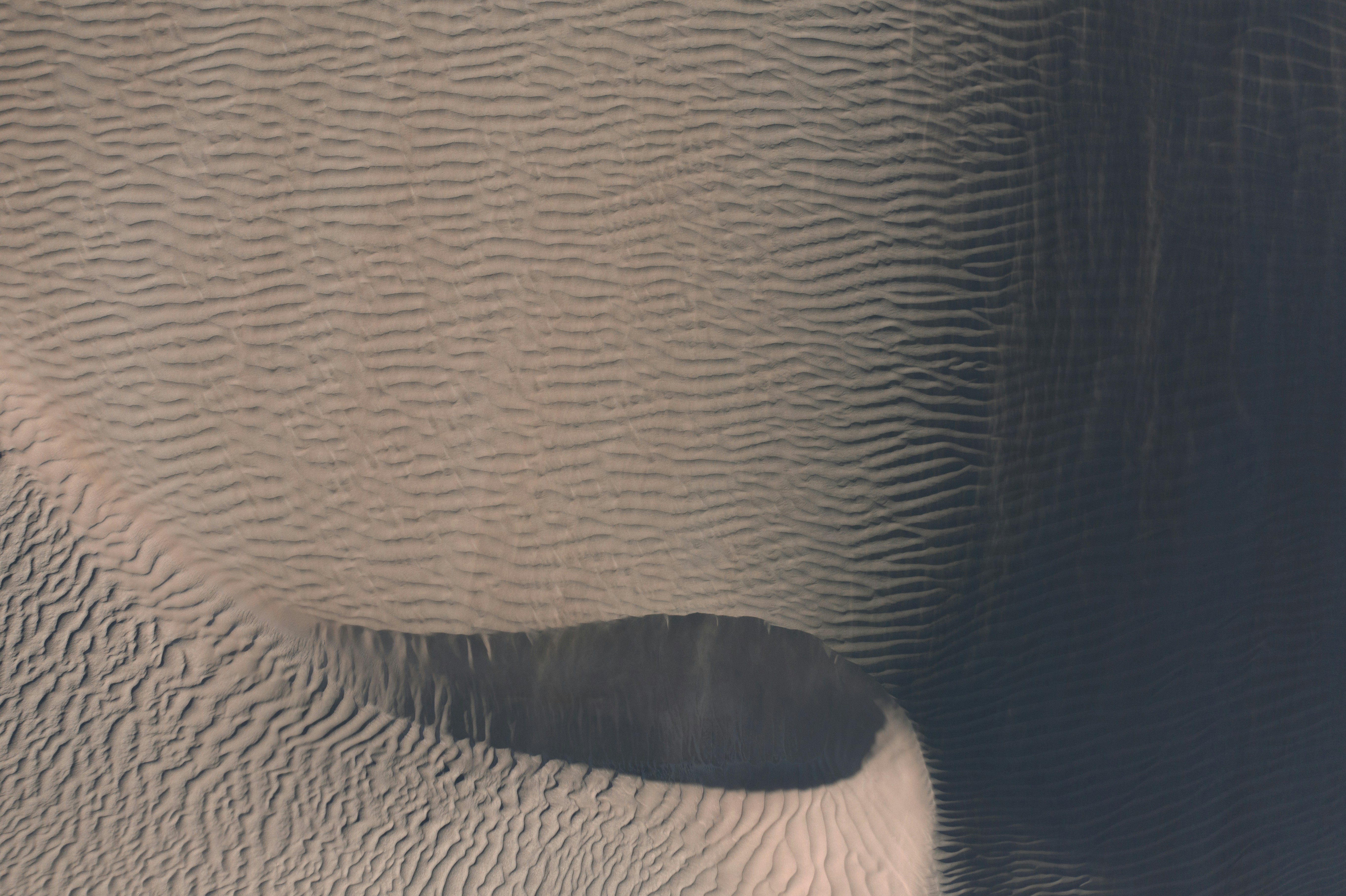 Top 5 Expertos en Inteligencia Artificial en Las Palmas de Gran Canaria