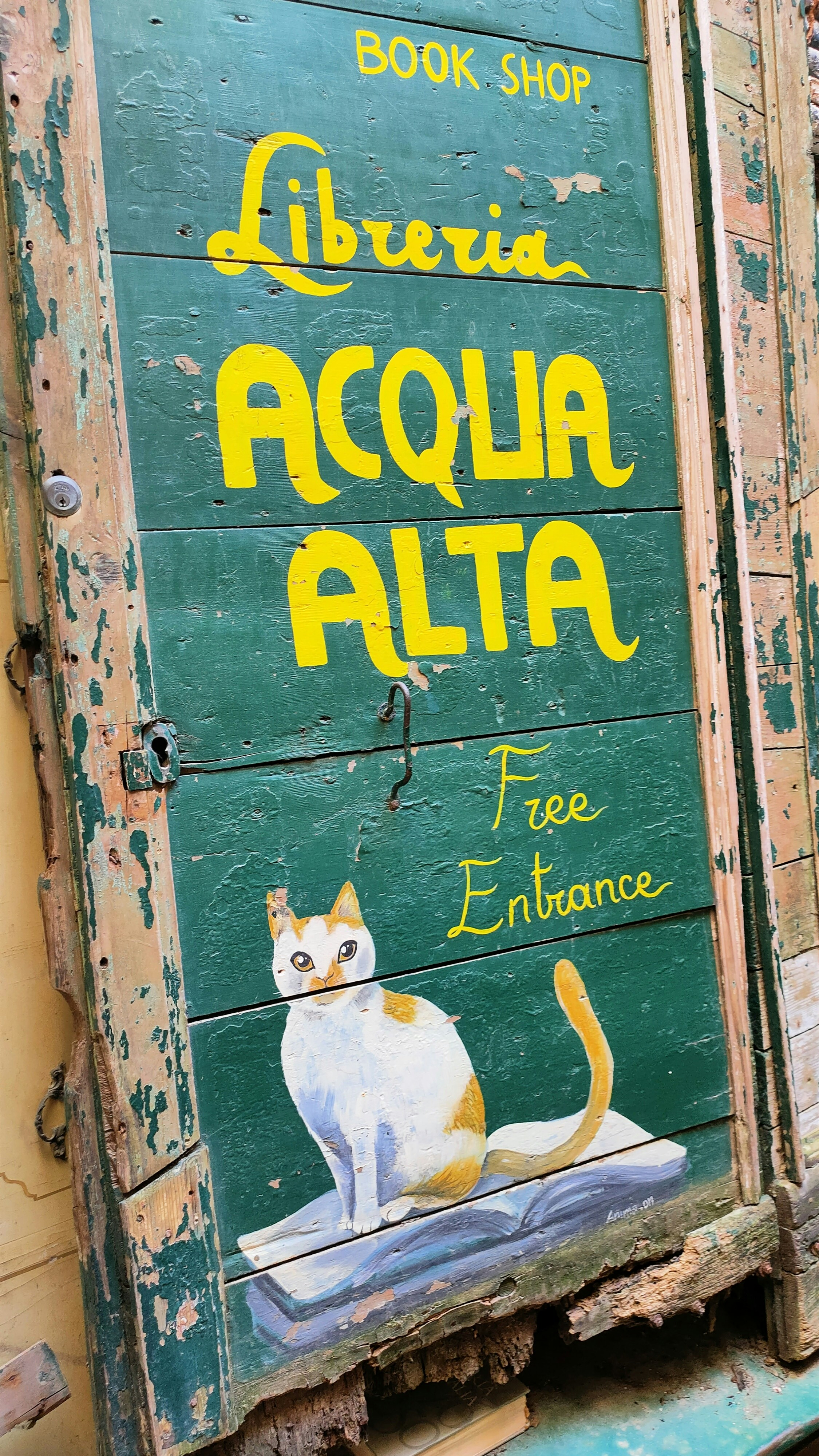 Top 5 Expertos en Inteligencia Empresarial en Alcantarilla