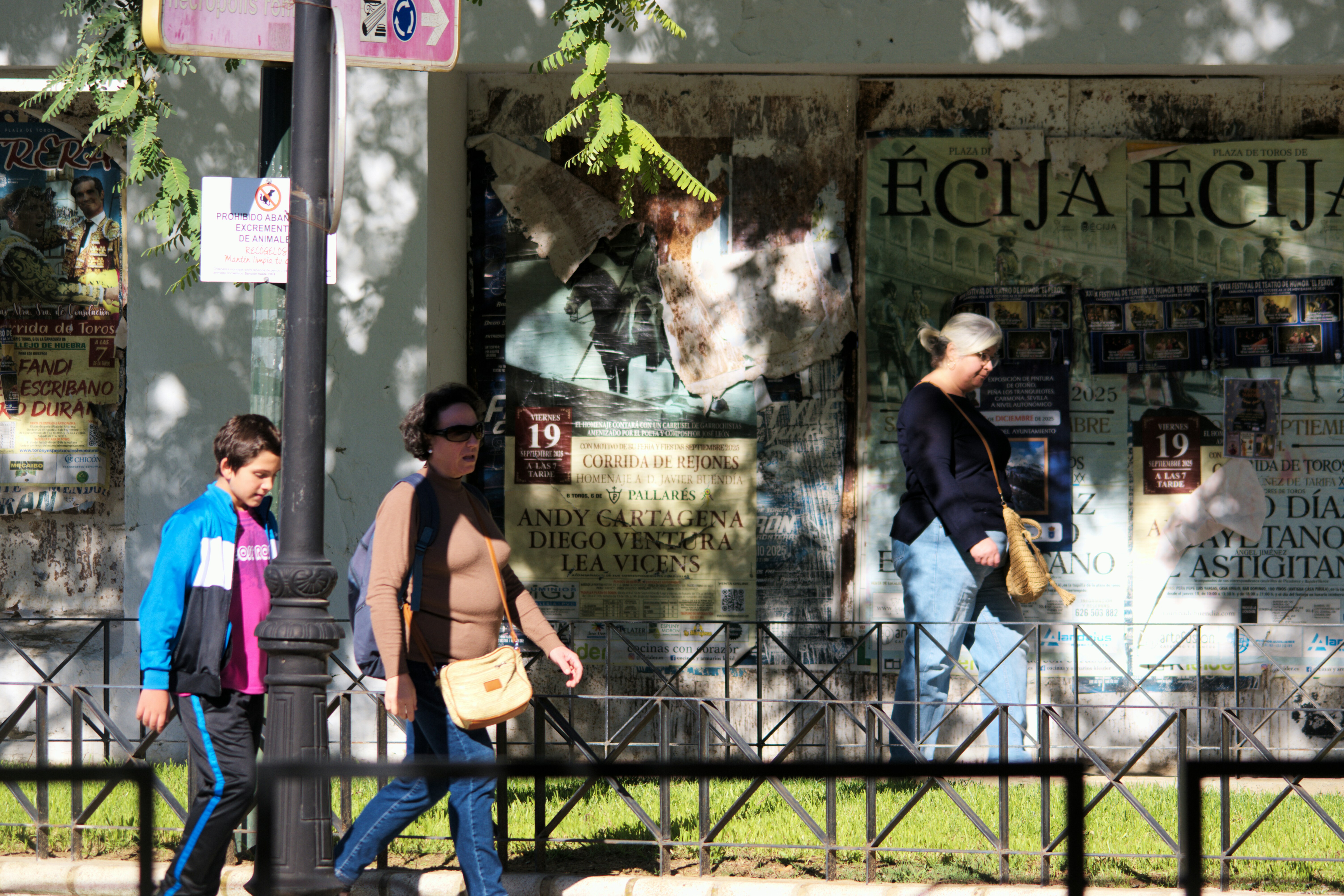 Los 3 mejores expertos en portal de estudiantes con pagos en Valladolid 2026