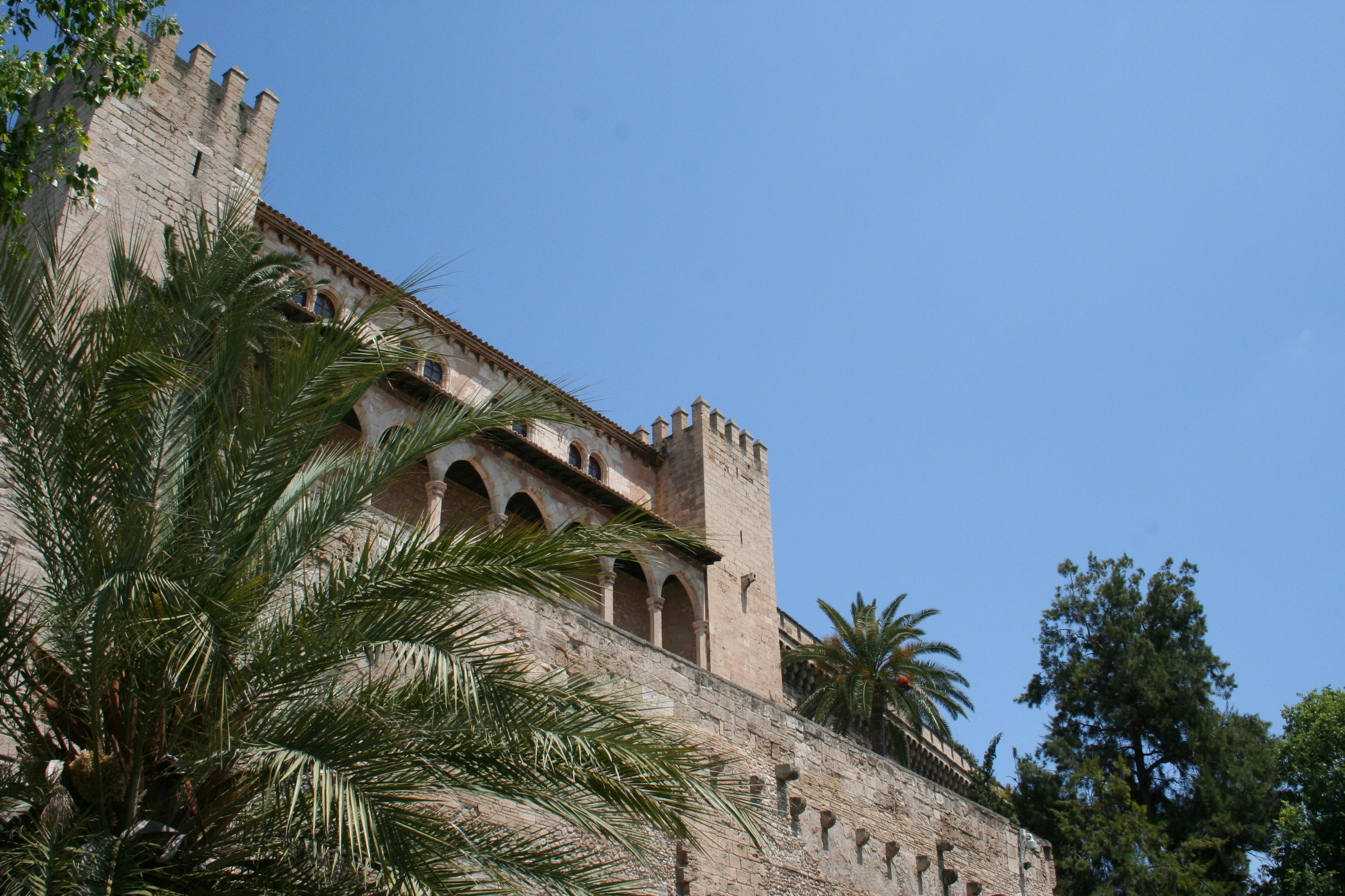 Top 50 Expertos en Power BI en Palma