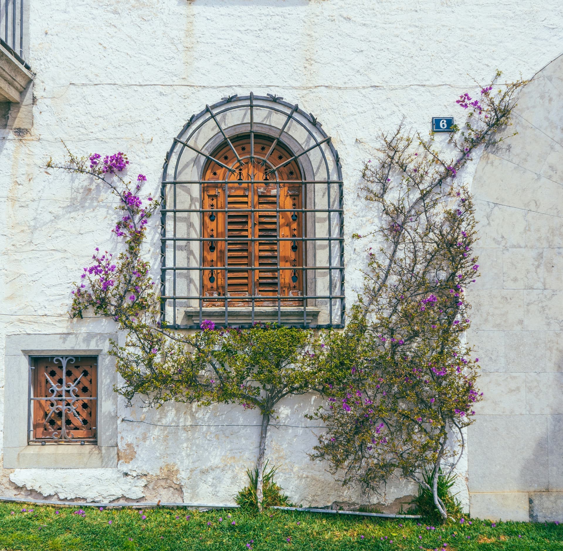 Principales 3 Expertos en Servicios Profesionales de Software Empresarial en Blanes