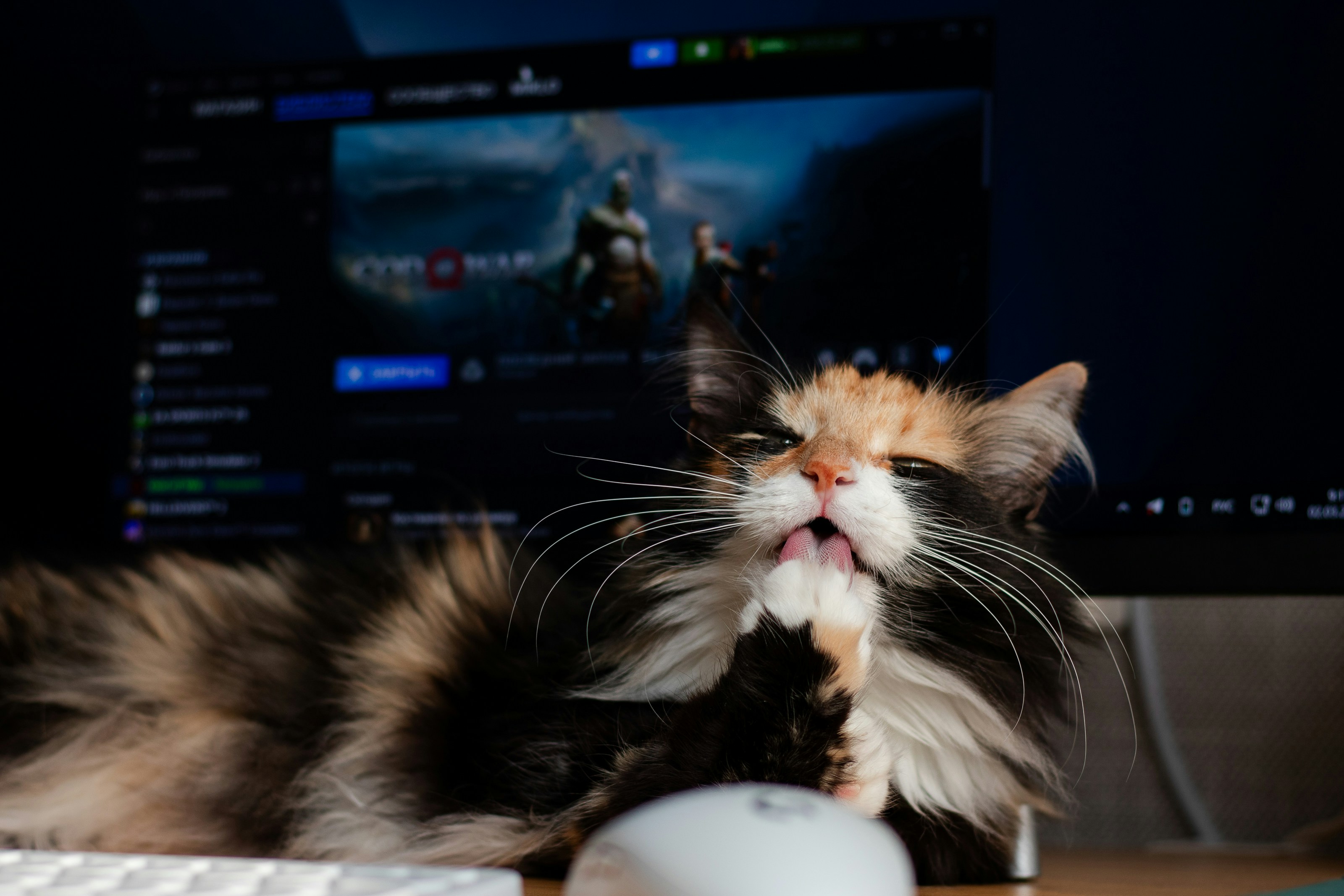 Negociando exigencias digitales: Mi día de código, videos de gatos y vueltas de la victoria