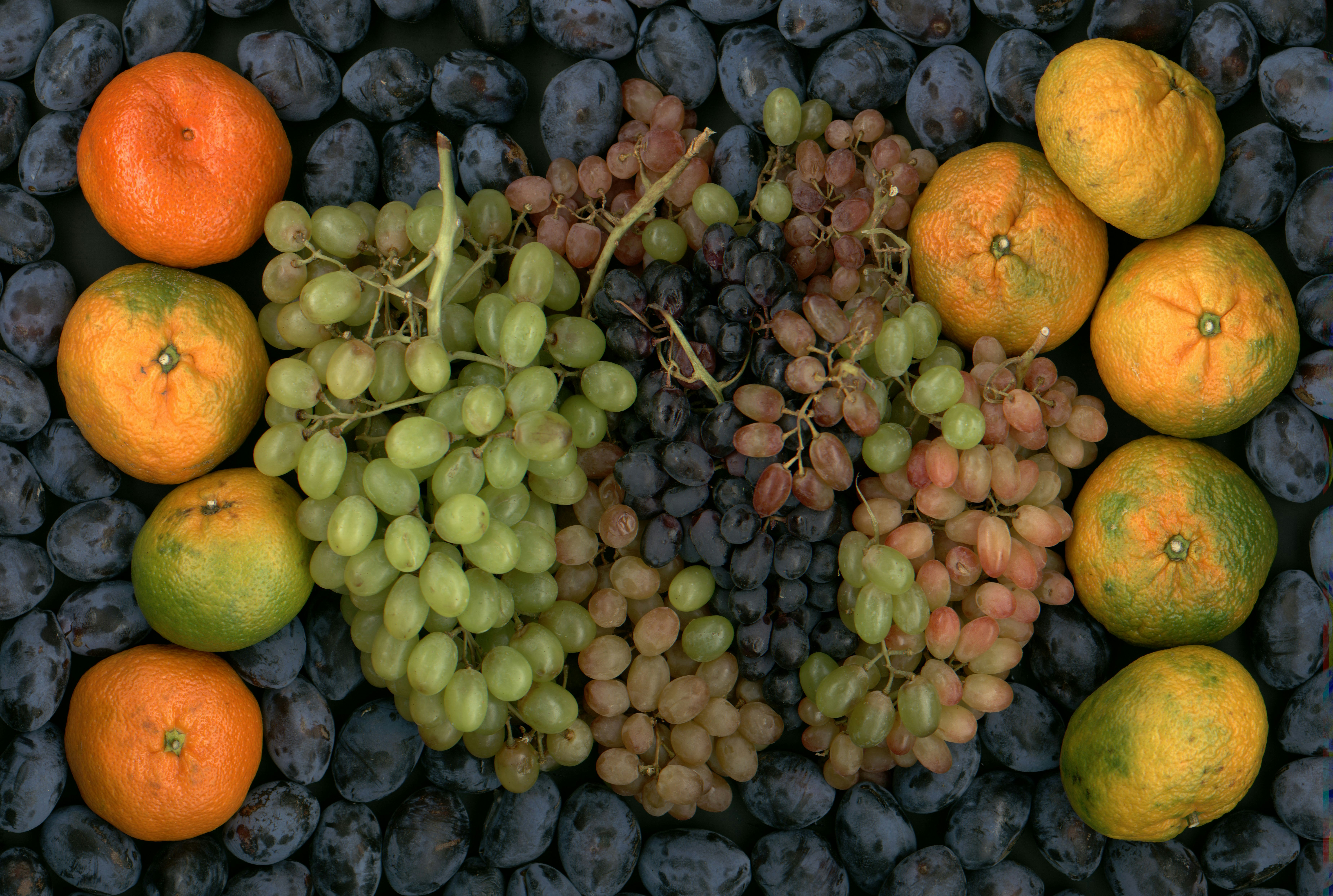 Características Aleatorias de Variedad