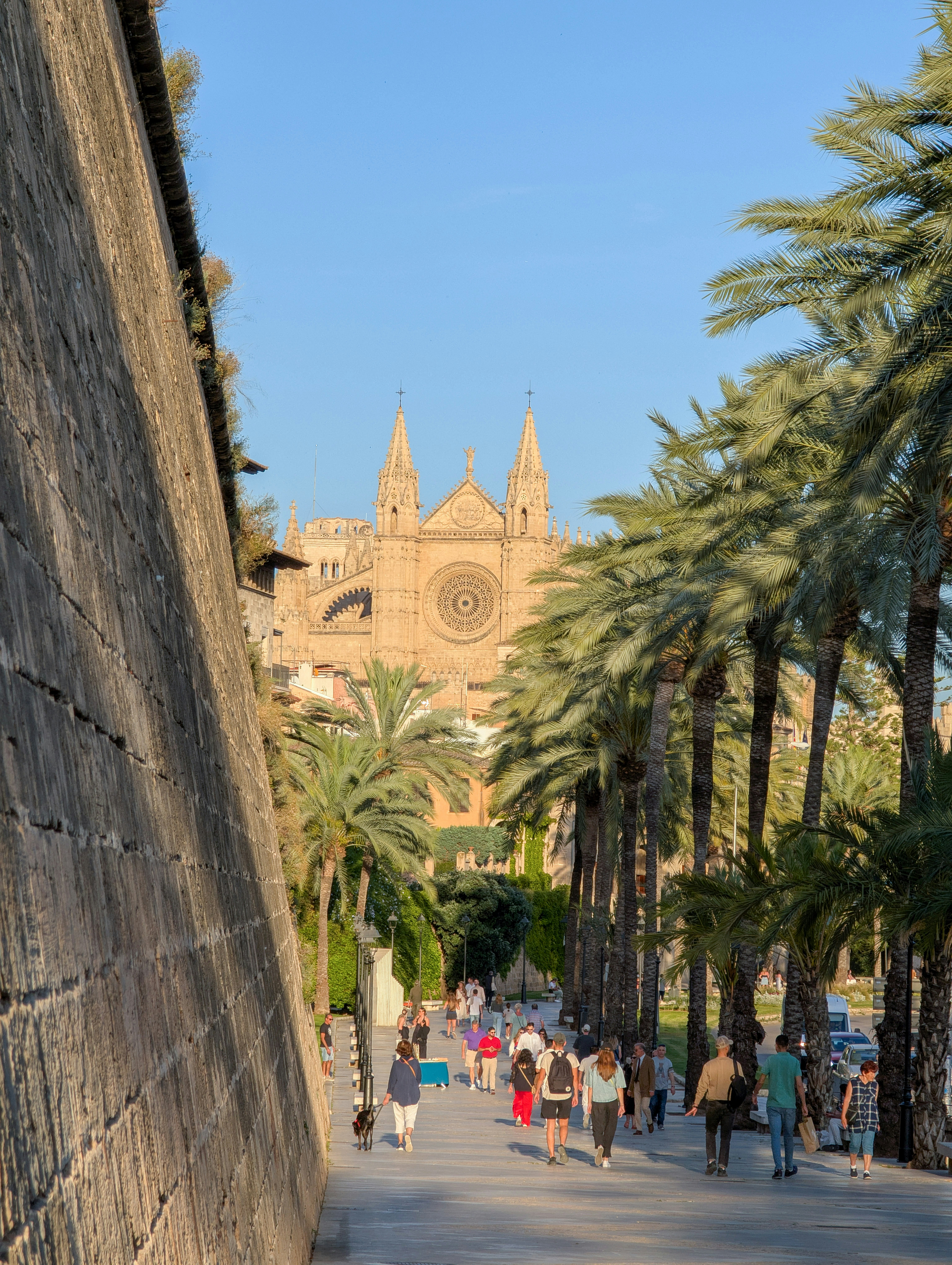 buscar aplicaciones en ChatGPT en Palma
