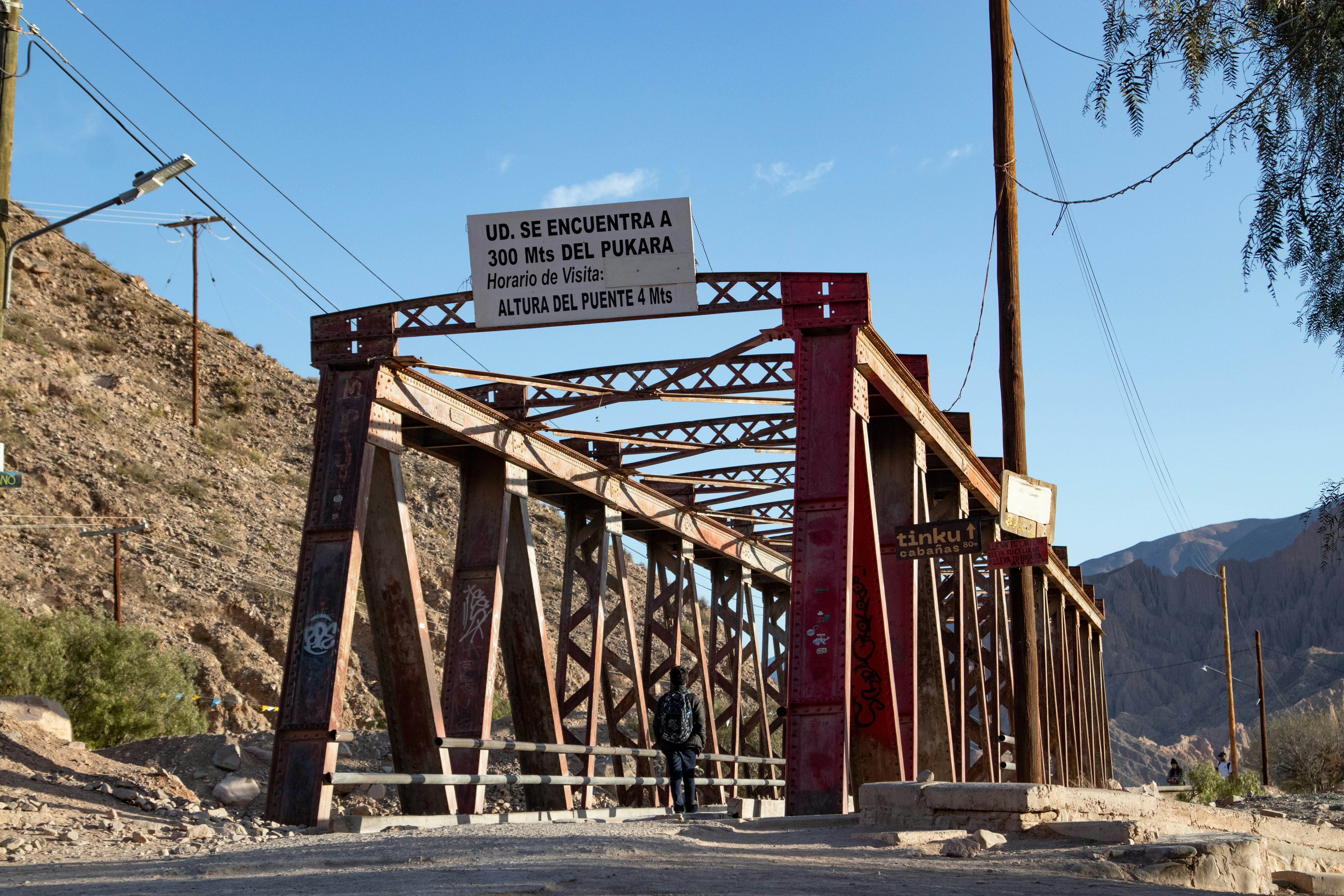 QDSB: Puentes de Schrödinger de Difusión Cuantizada