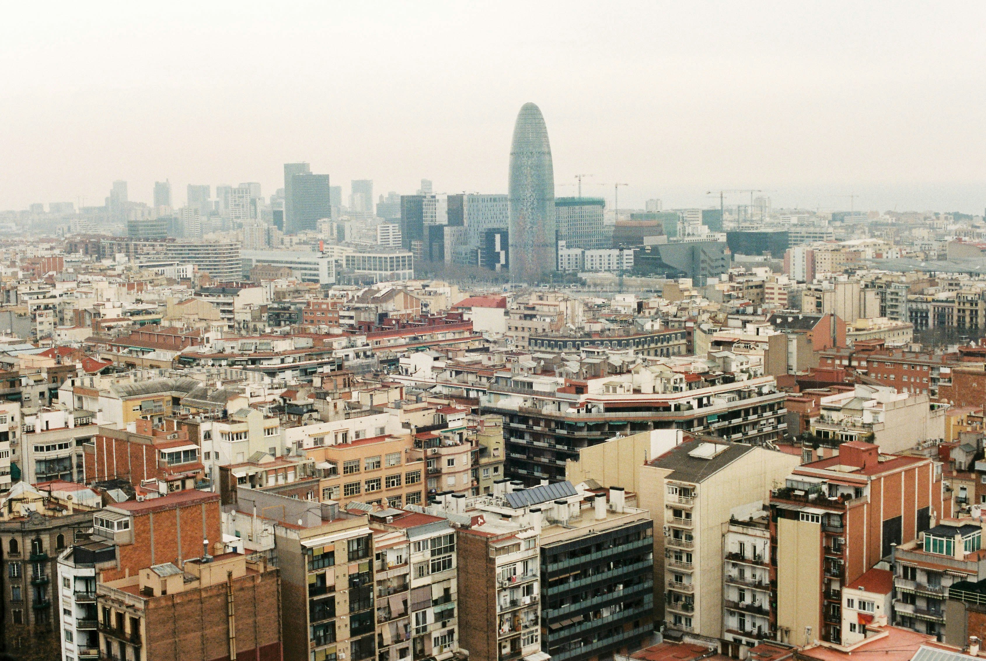 Desarrollo de App: Las Mejores Empresas en Barcelona, Elige la Más Adecuada para Tu Negocio