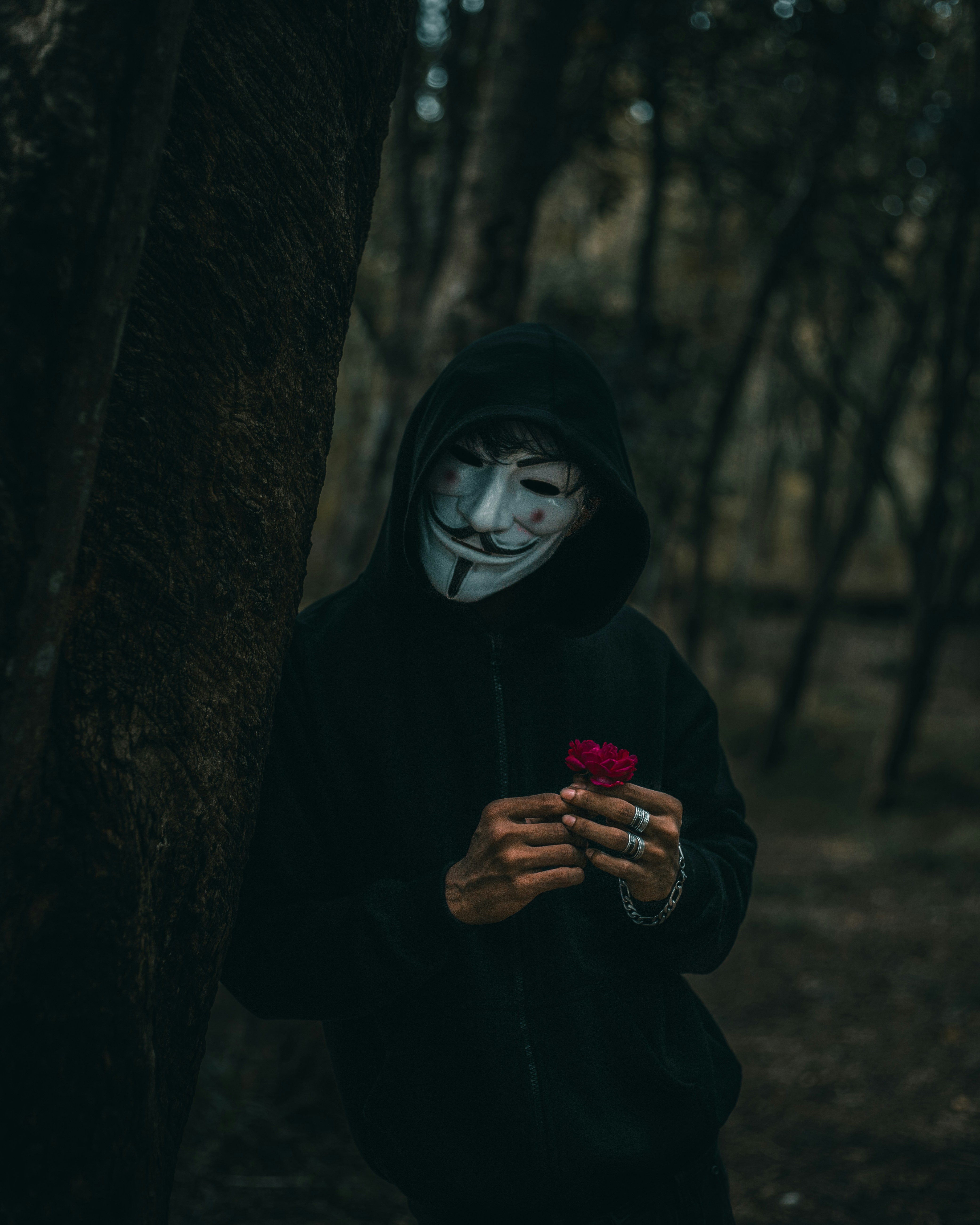 La vulnerabilidad del conductor autónomo a los ataques tipográficos: transferibilidad y realizabilidad