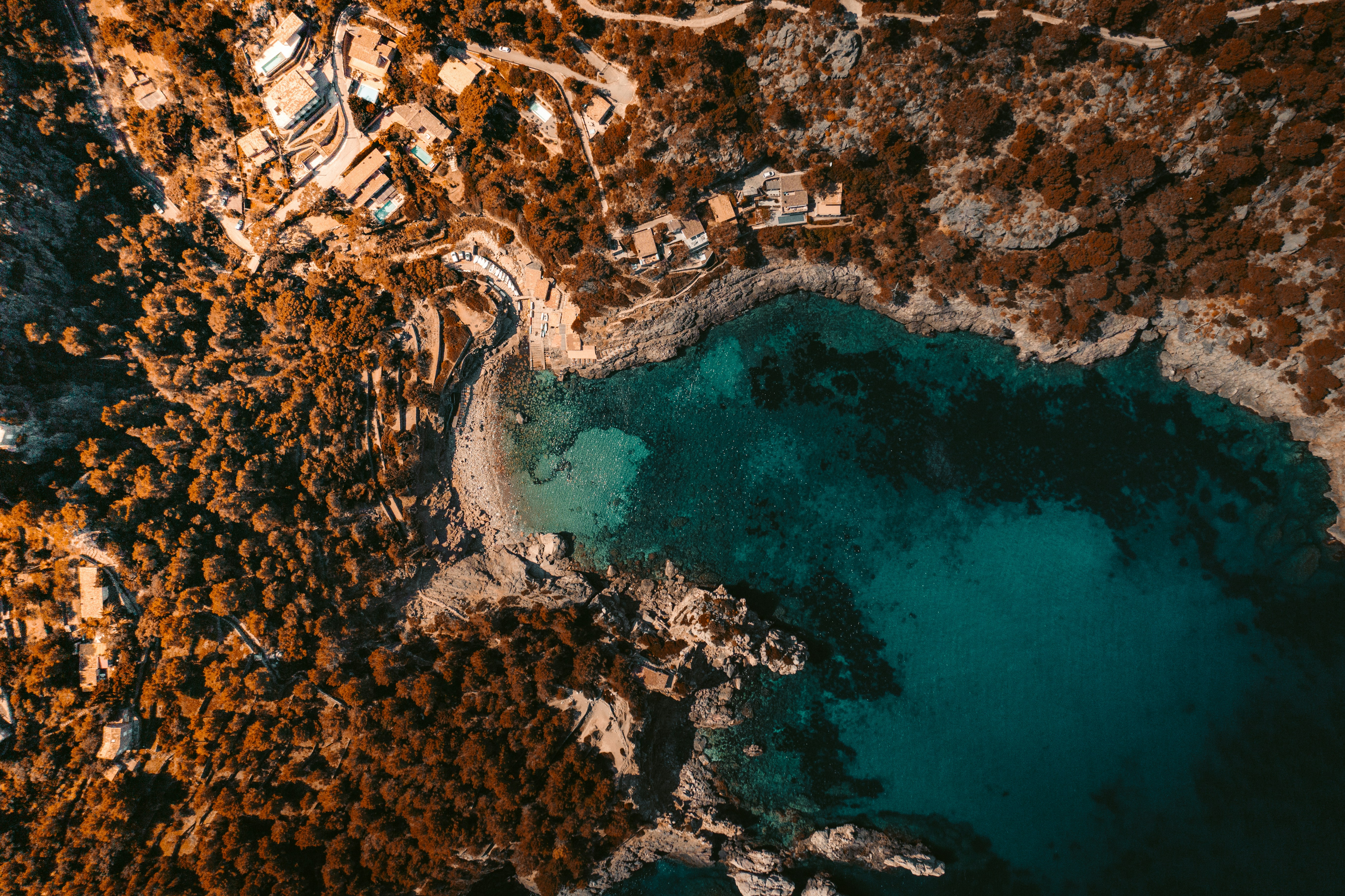 Servicios profesionales de extracción de datos de documentos de IA en Palma