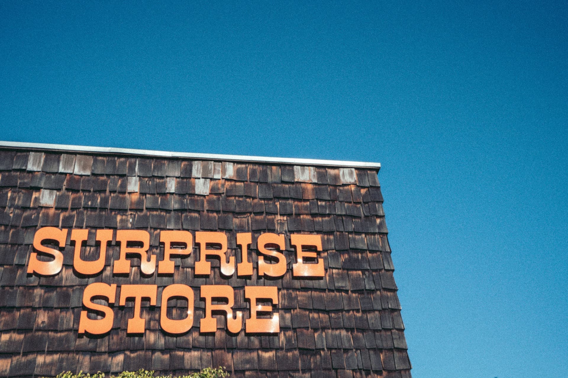 Lo que debes saber antes de comprar un mercado de dropshipping