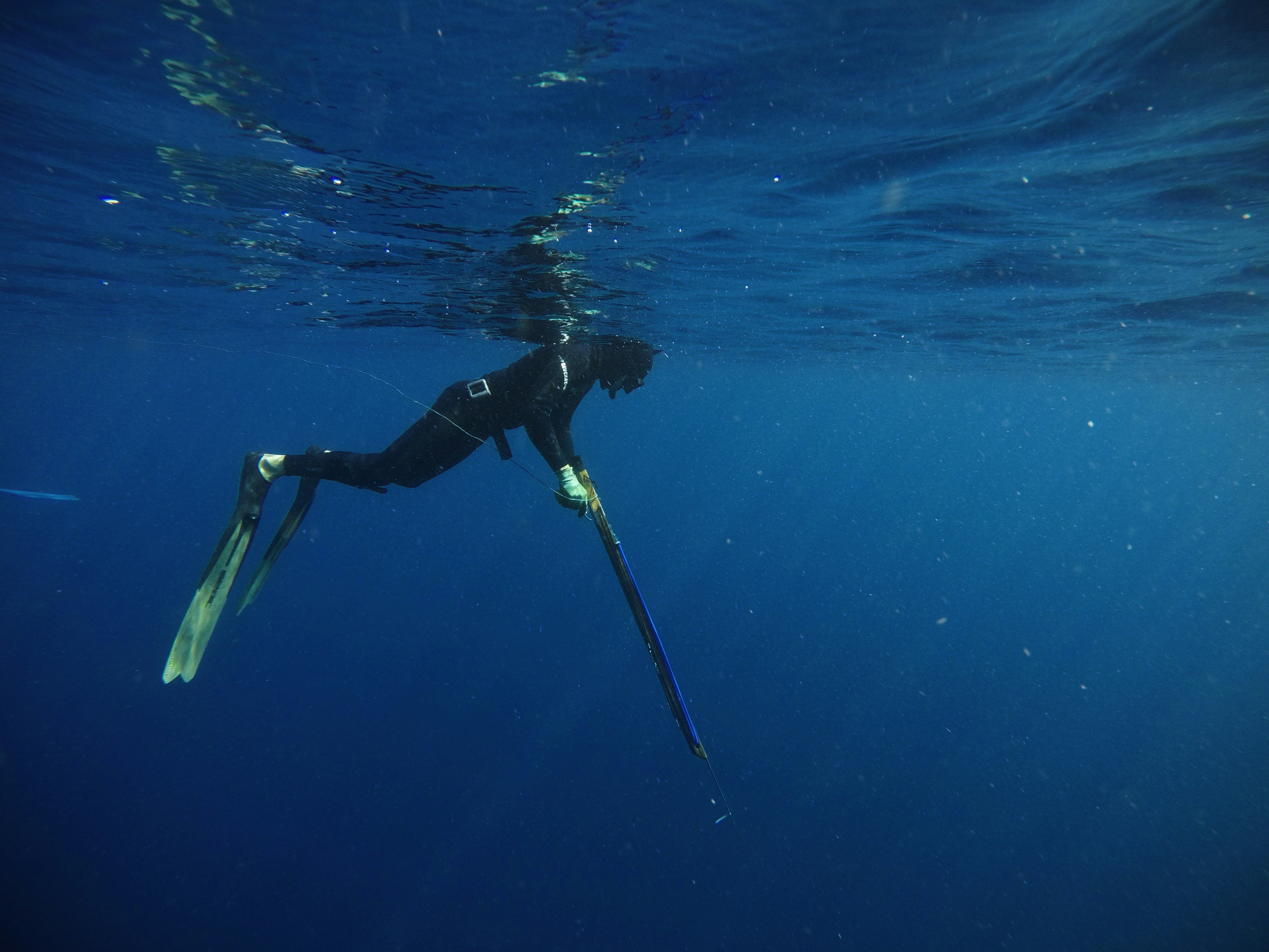 Firmar mensajes en Symfony 7.4: Un análisis profundo